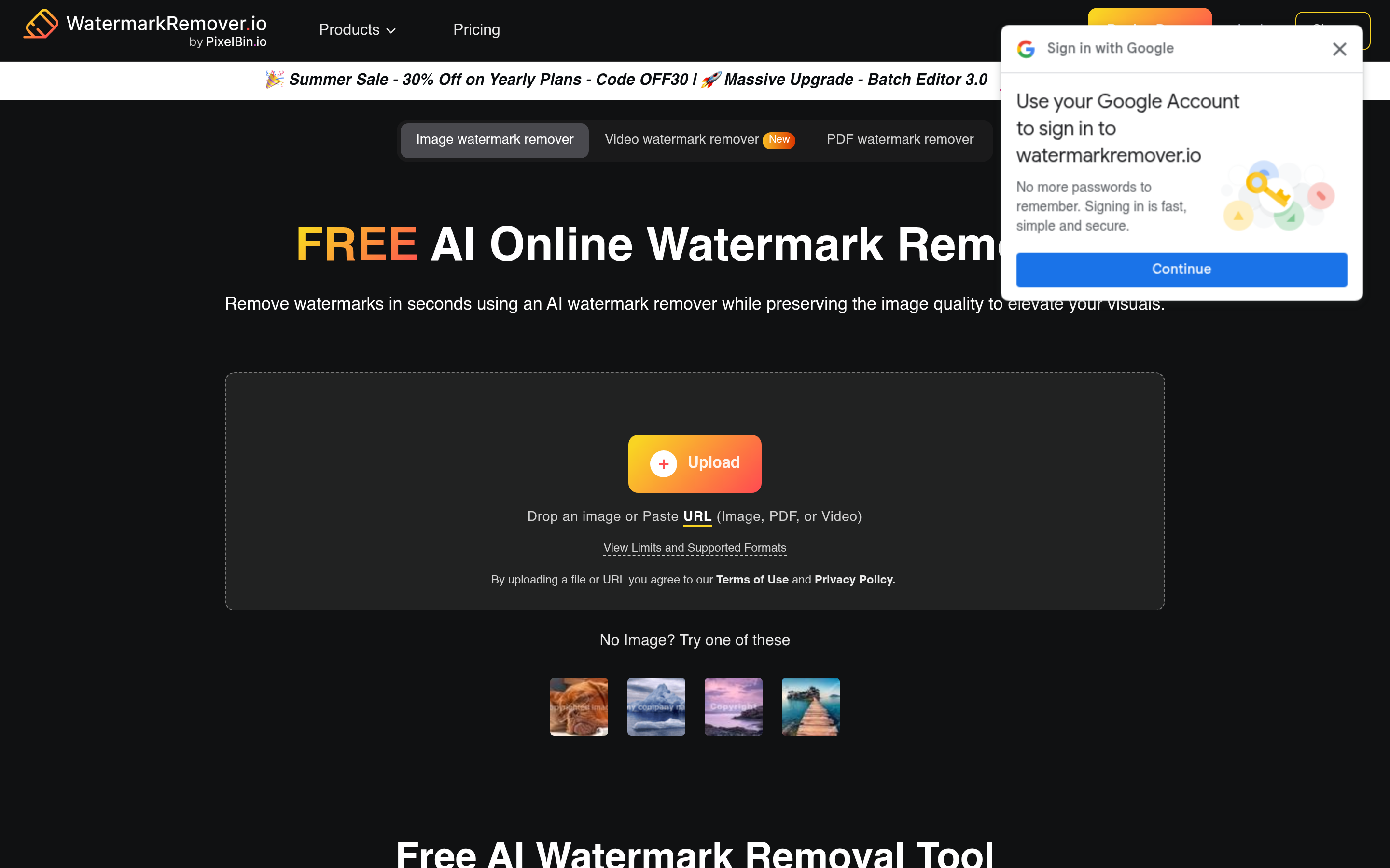 Watermark Remover – 使用 AI 去除图片水印 介面截圖