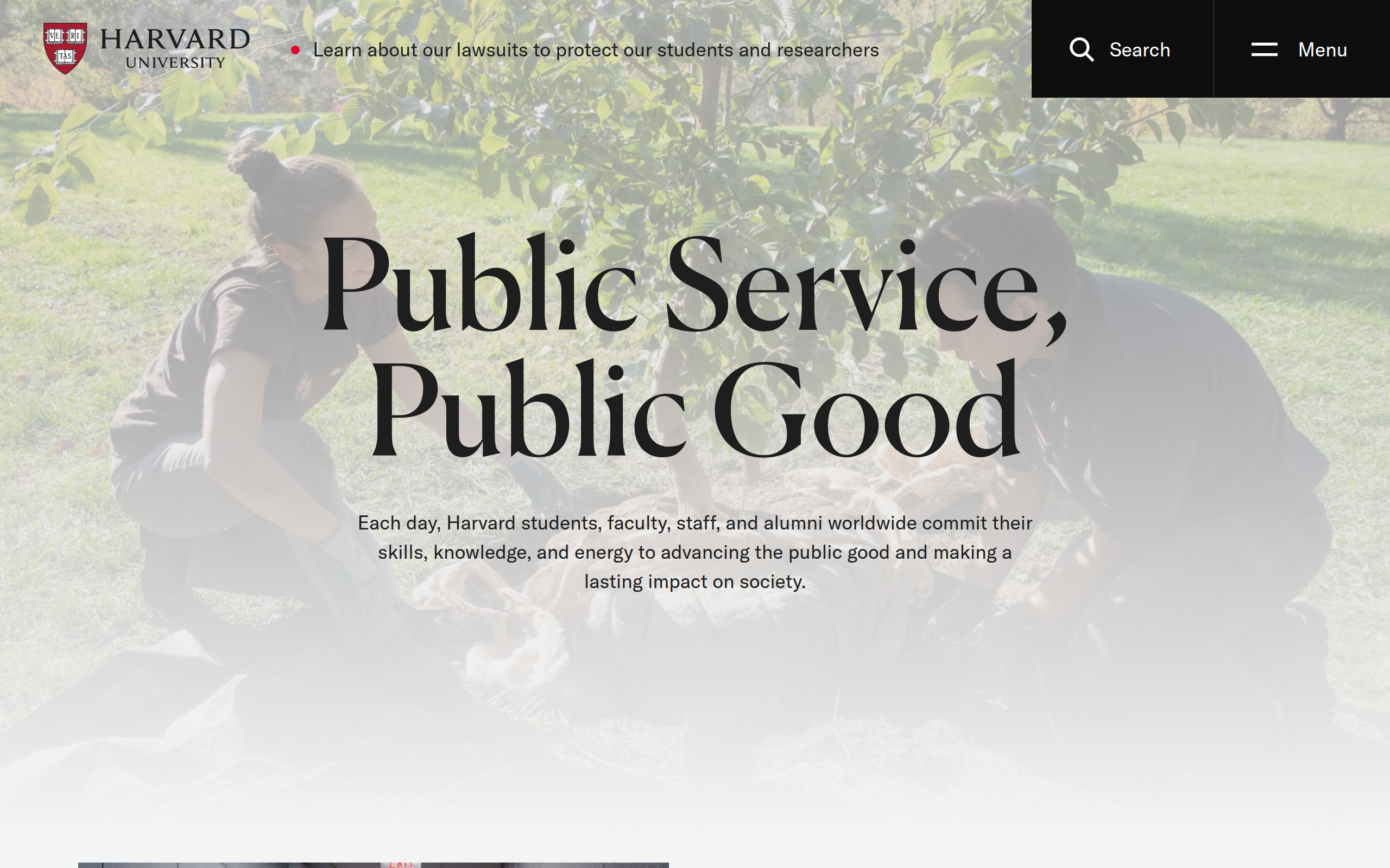 Harvard University screenshot