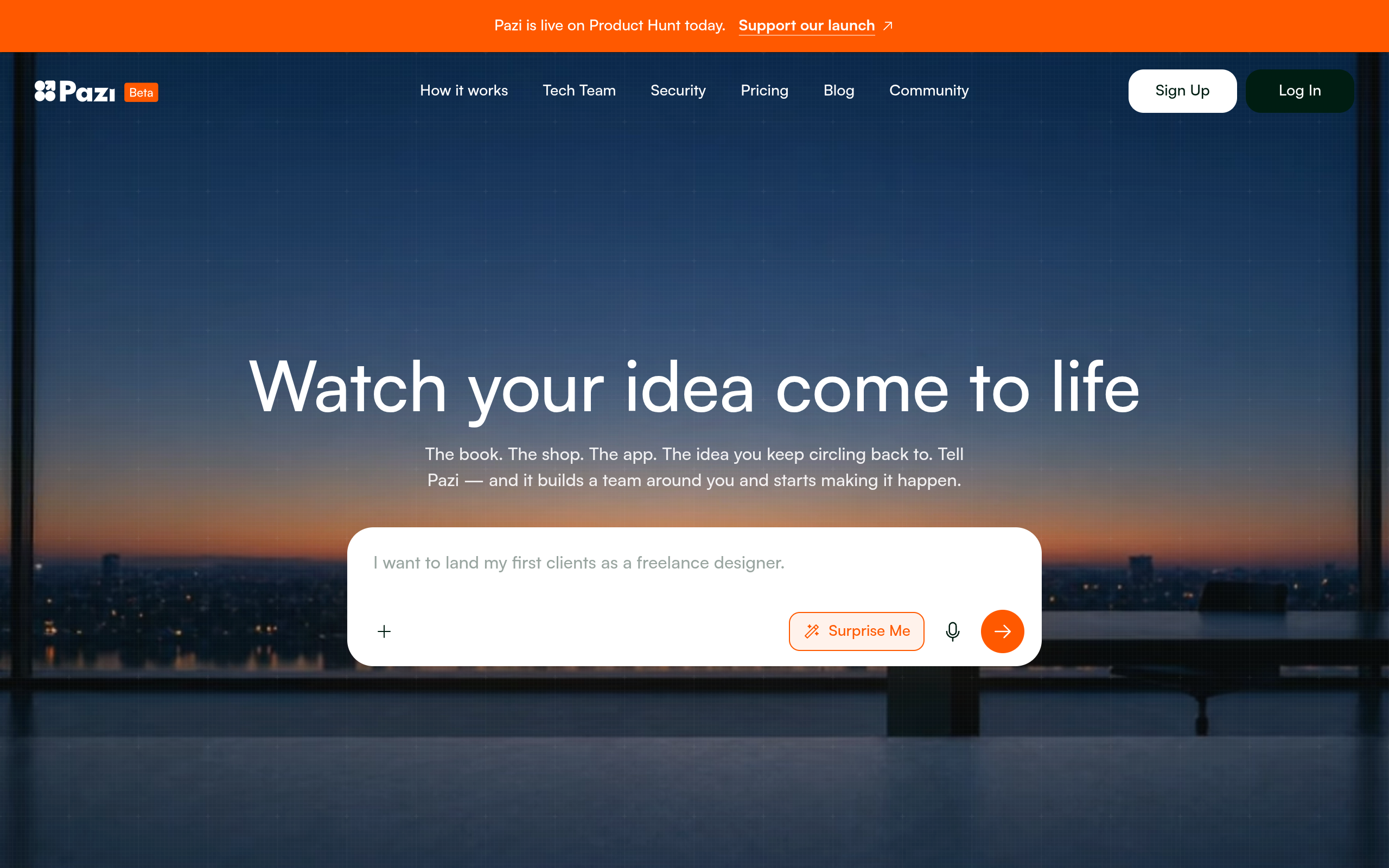 Pazi screenshot – image 1