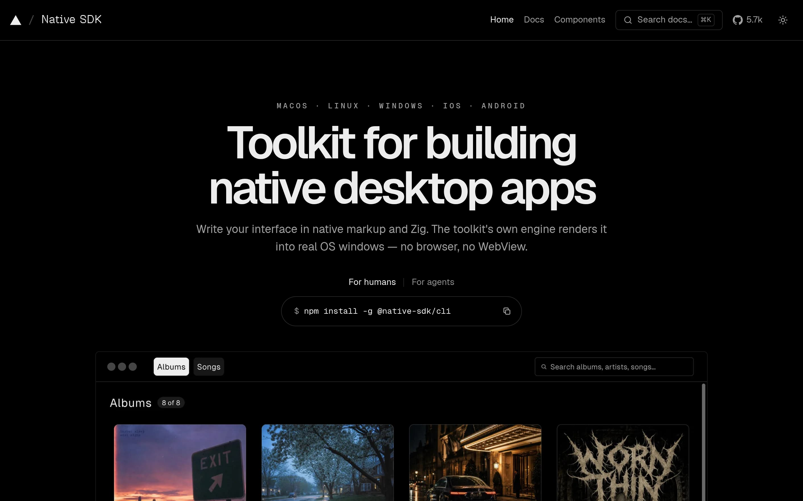 Native SDK screenshot – image 1