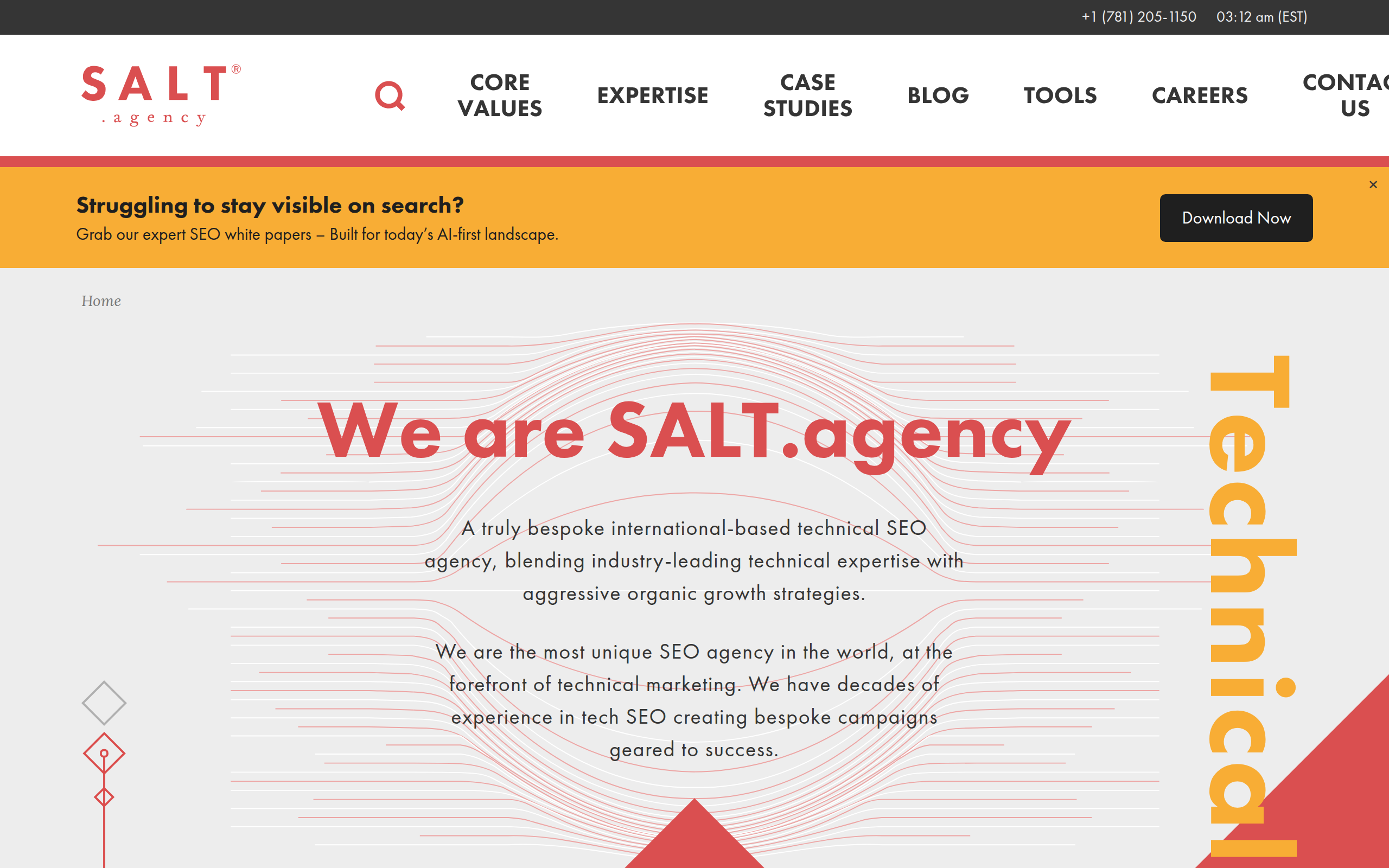 SALT.agency Screenshot