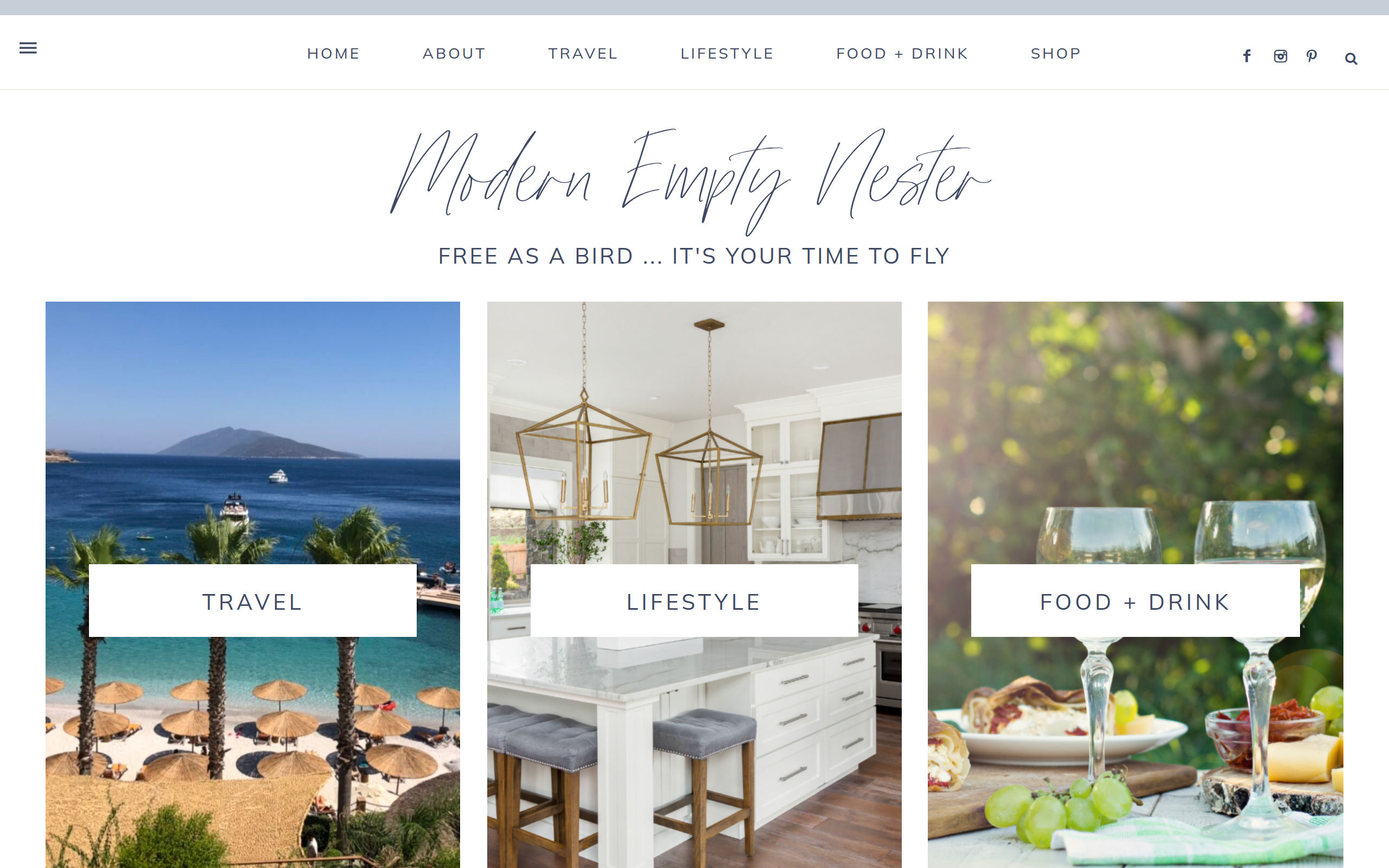 Modernemptynester screenshot