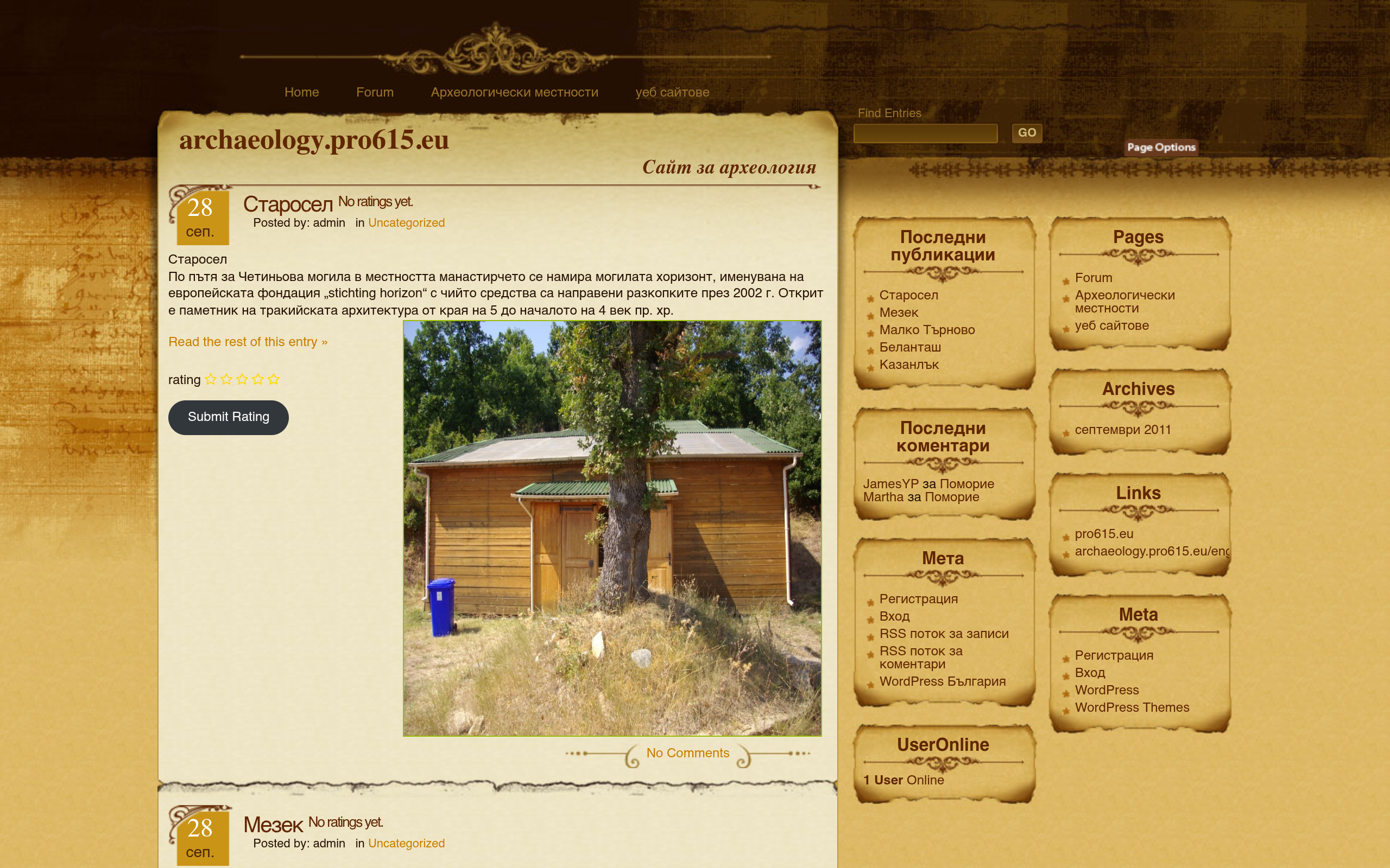 Screenshot of archaeology.pro615.eu
