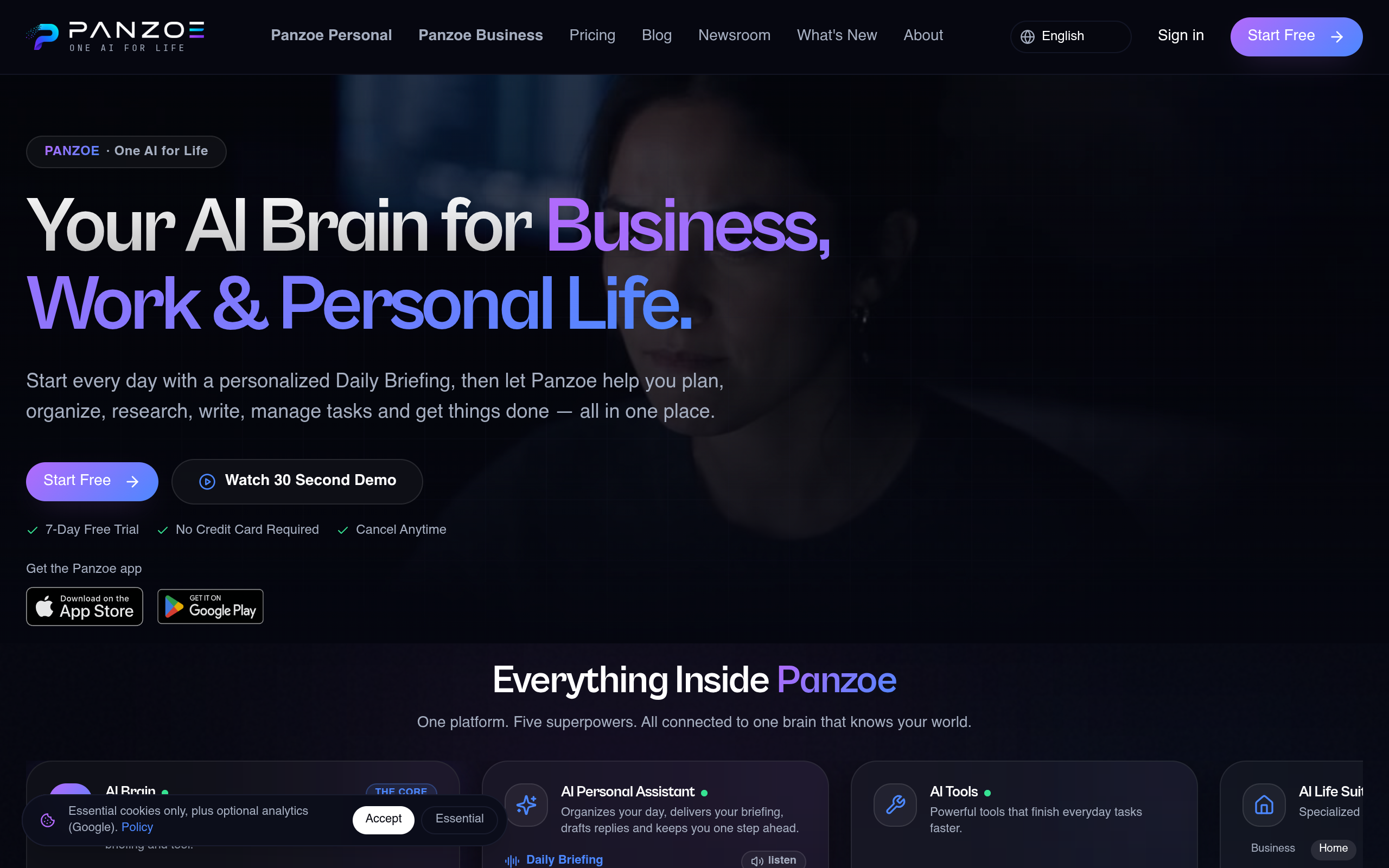 Panzoe Technologies screenshot