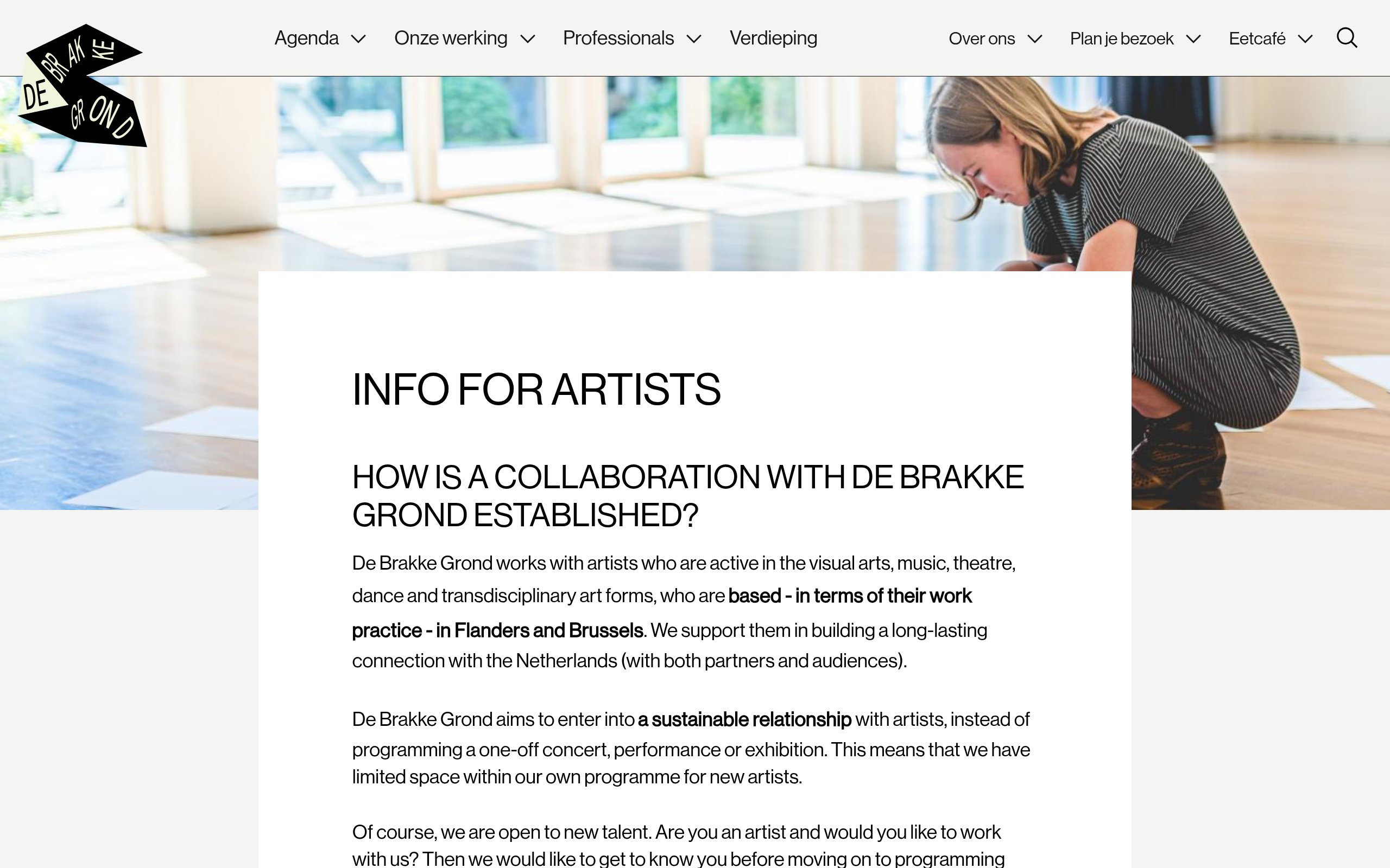 Vlaams Cultuurhuis de Brakke Grond