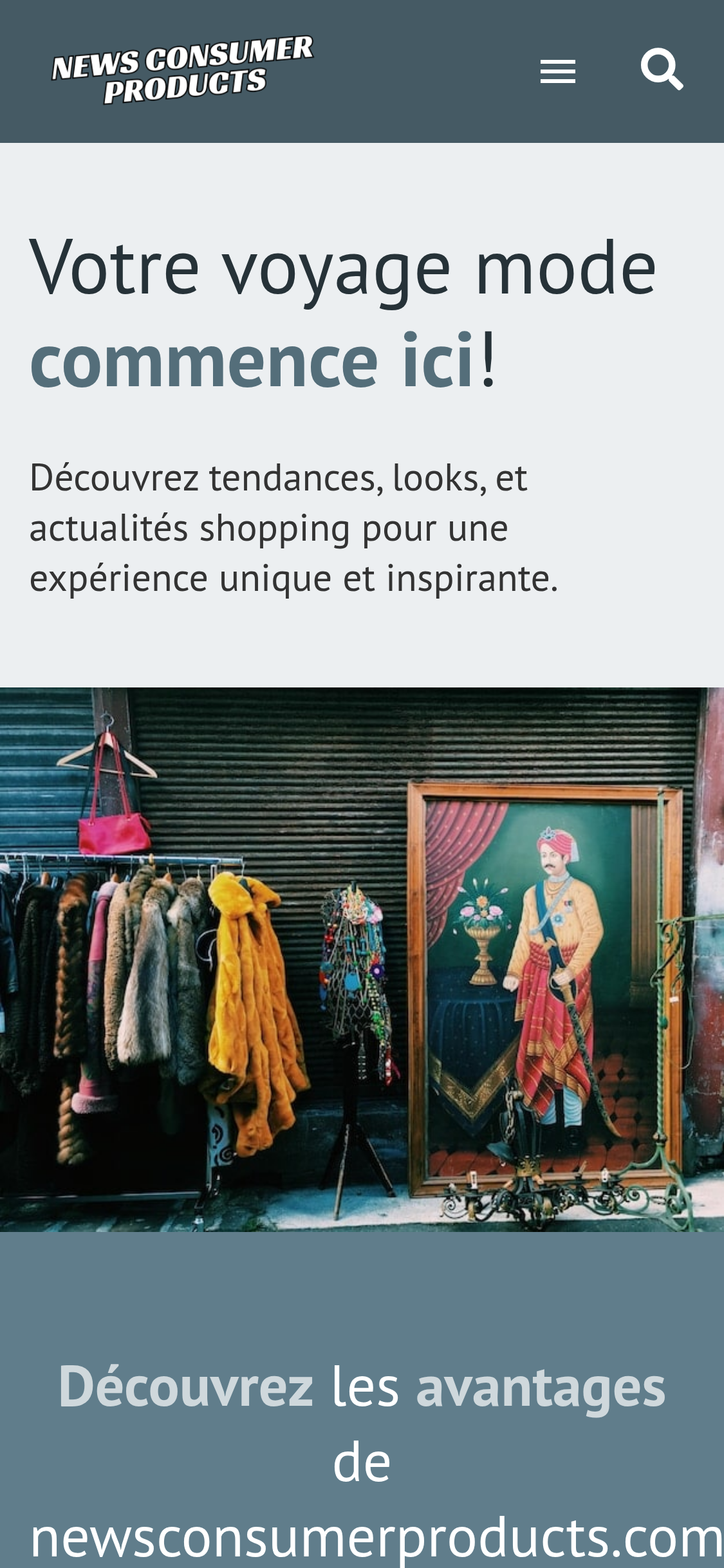 Mobile screenshot of newsconsumerproducts.com