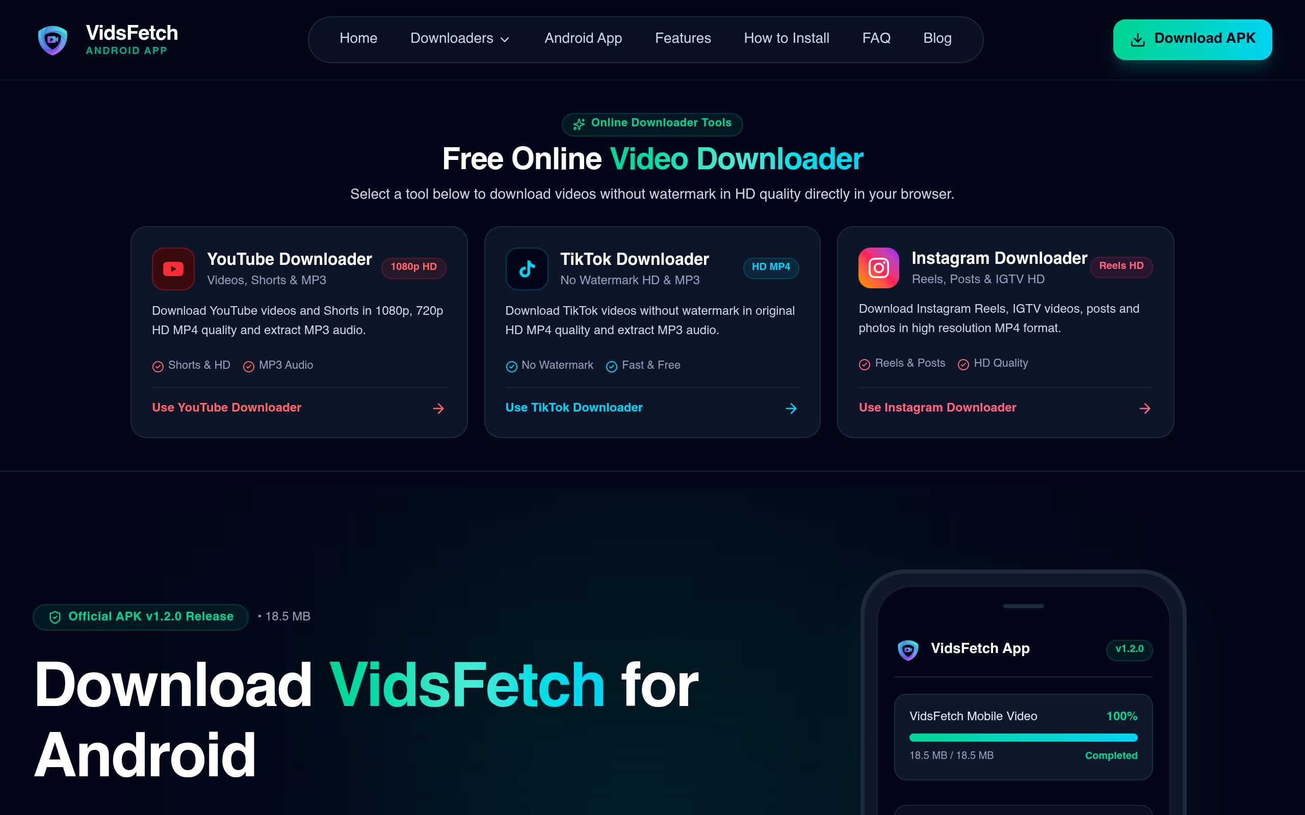 VidsFetch screenshot, image 1