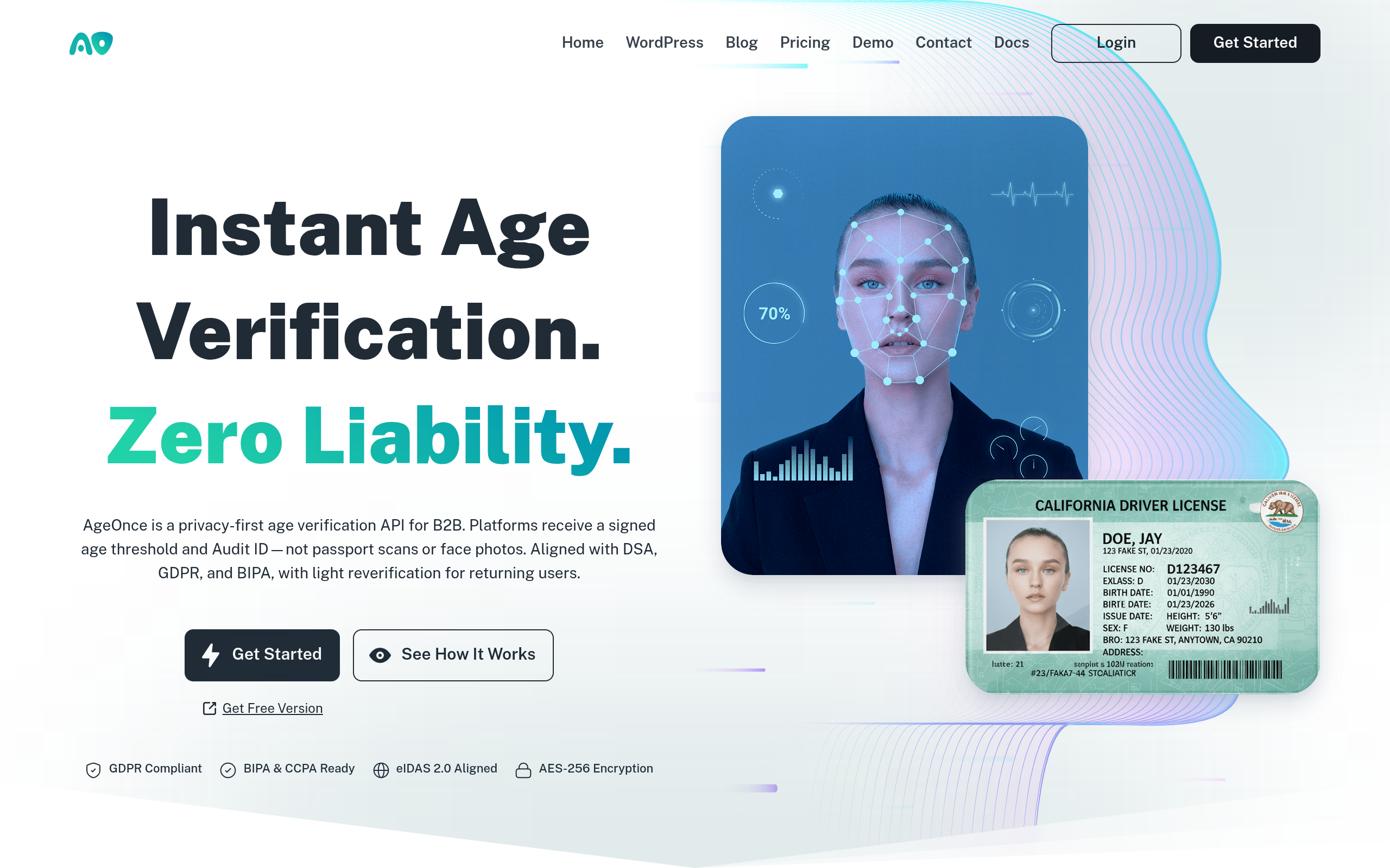 Age Verification API for B2B screenshot, image 1