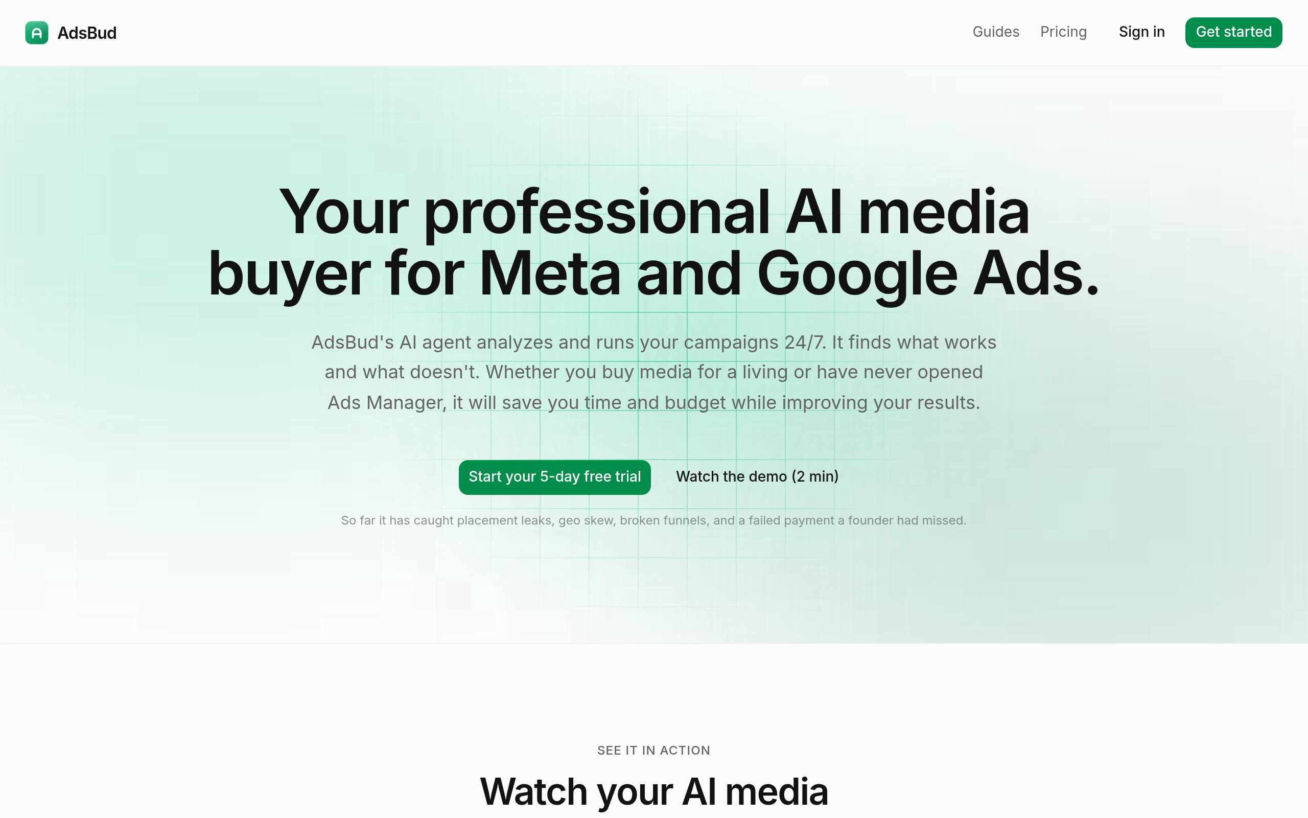 AdsBud screenshot – image 1