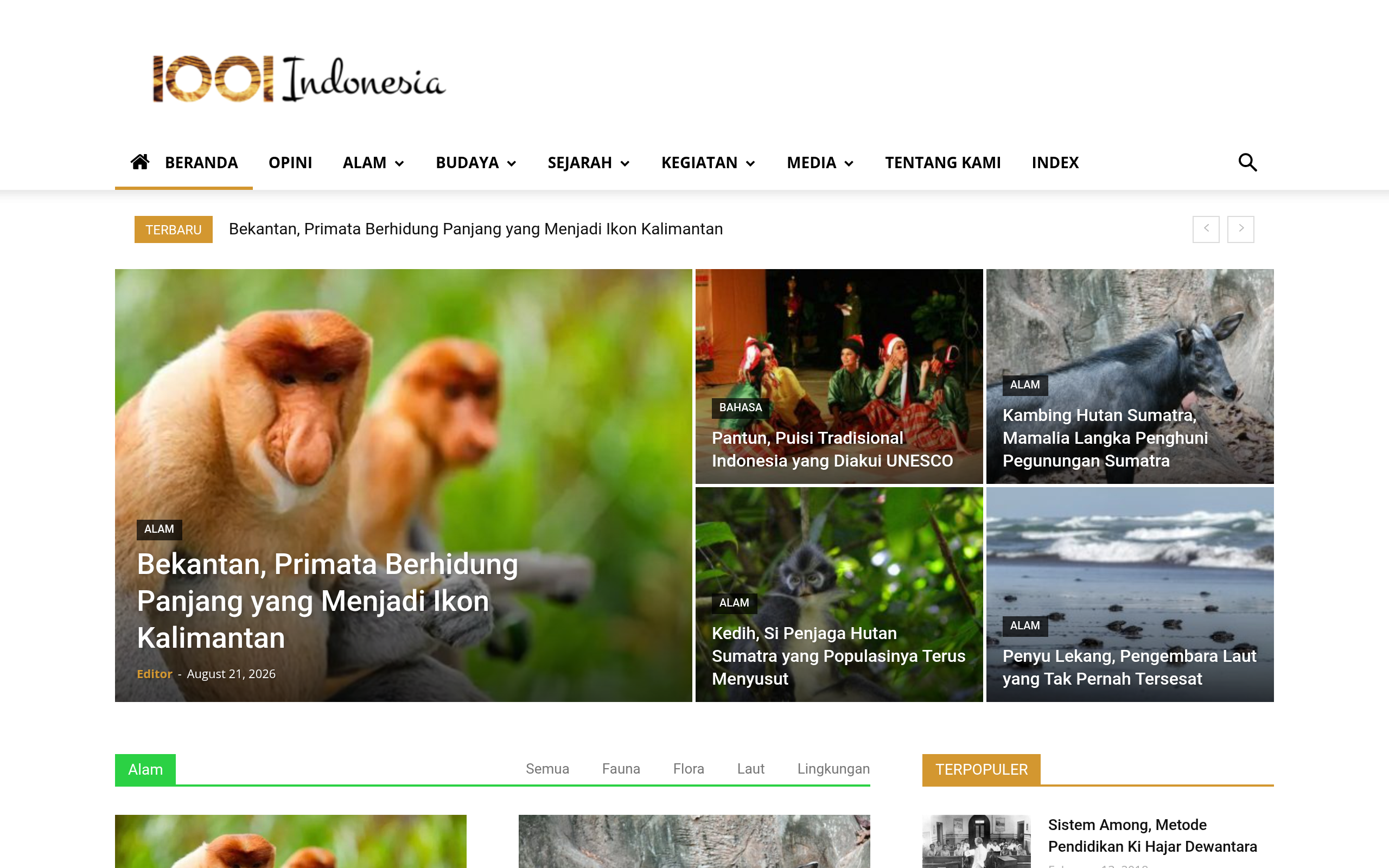 Screenshot of 1001indonesia.net