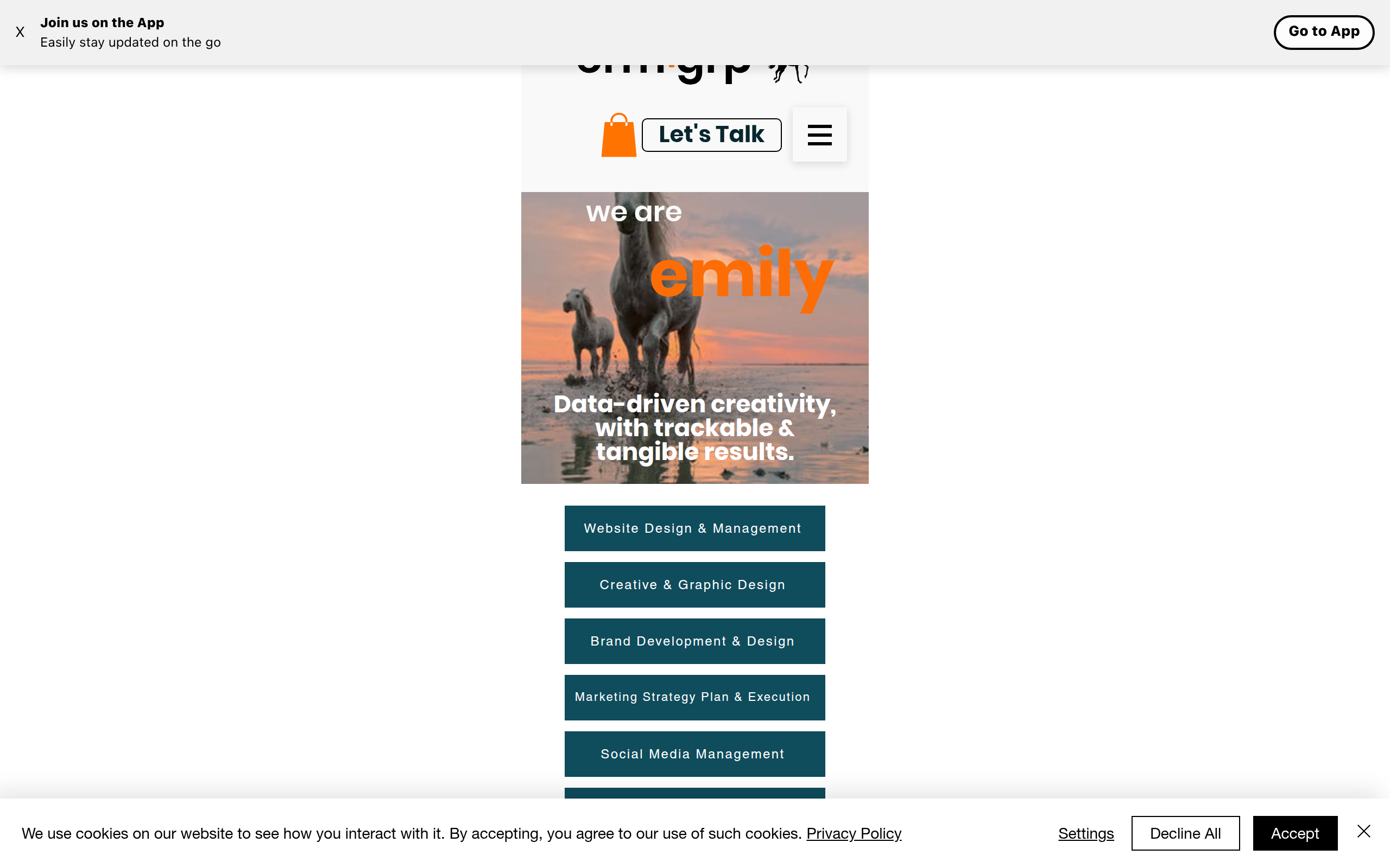 EMILY Revolutionary Marketing Group Screenshot