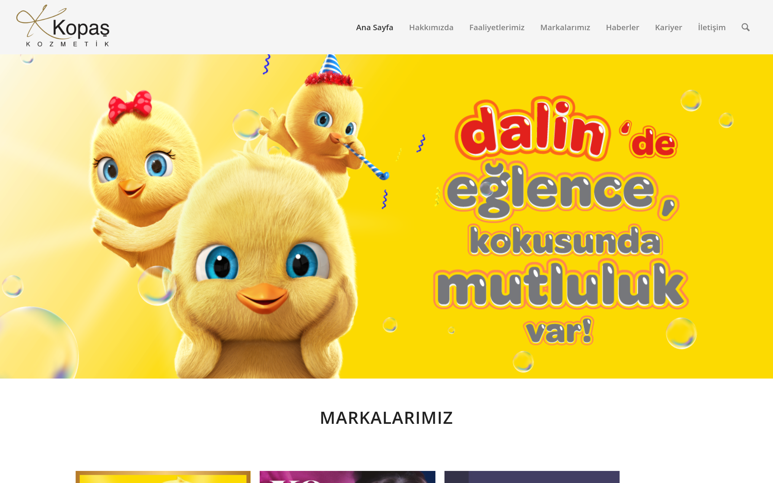 Screenshot of kopas.com