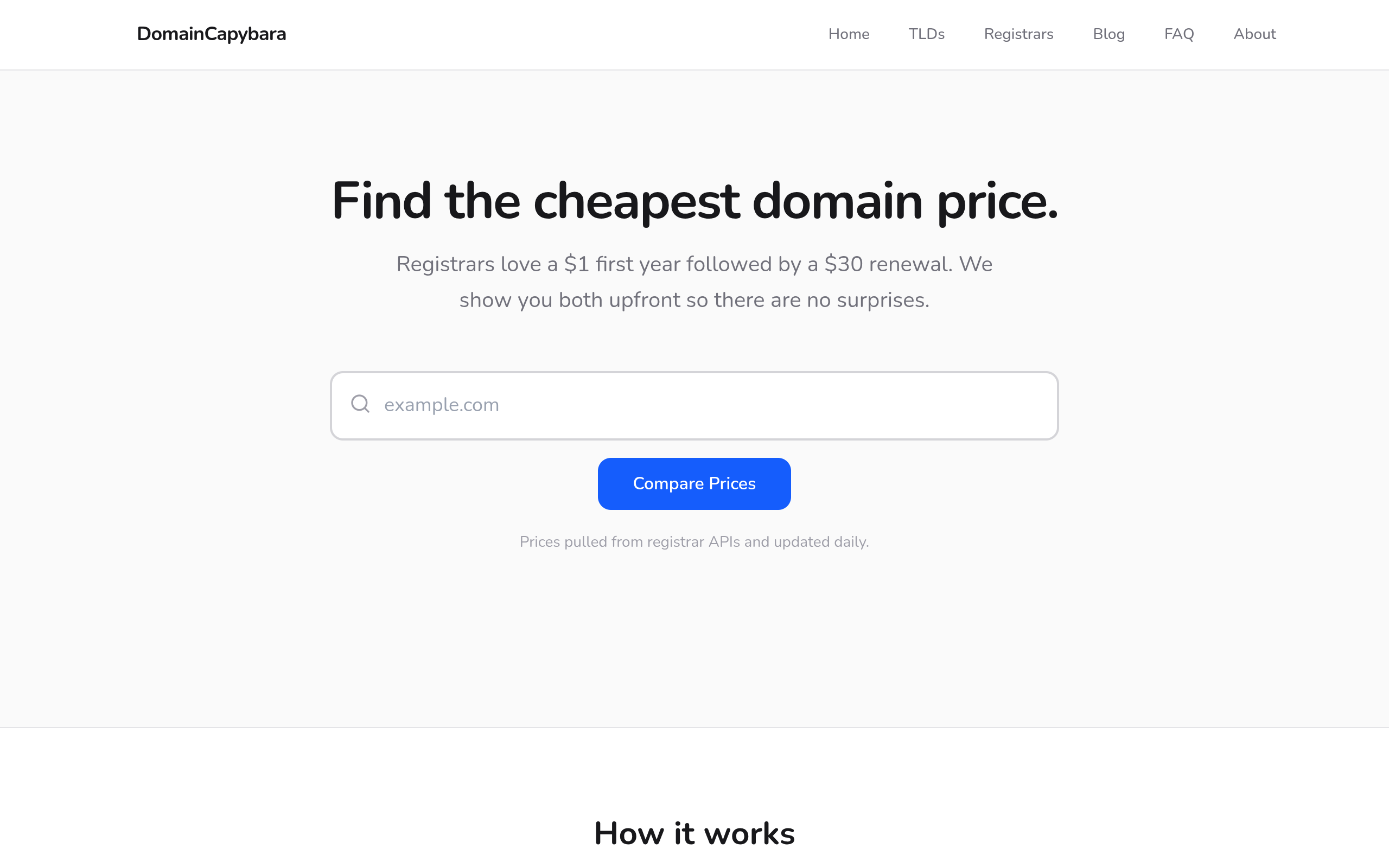 DomainCapybara screenshot – image 1