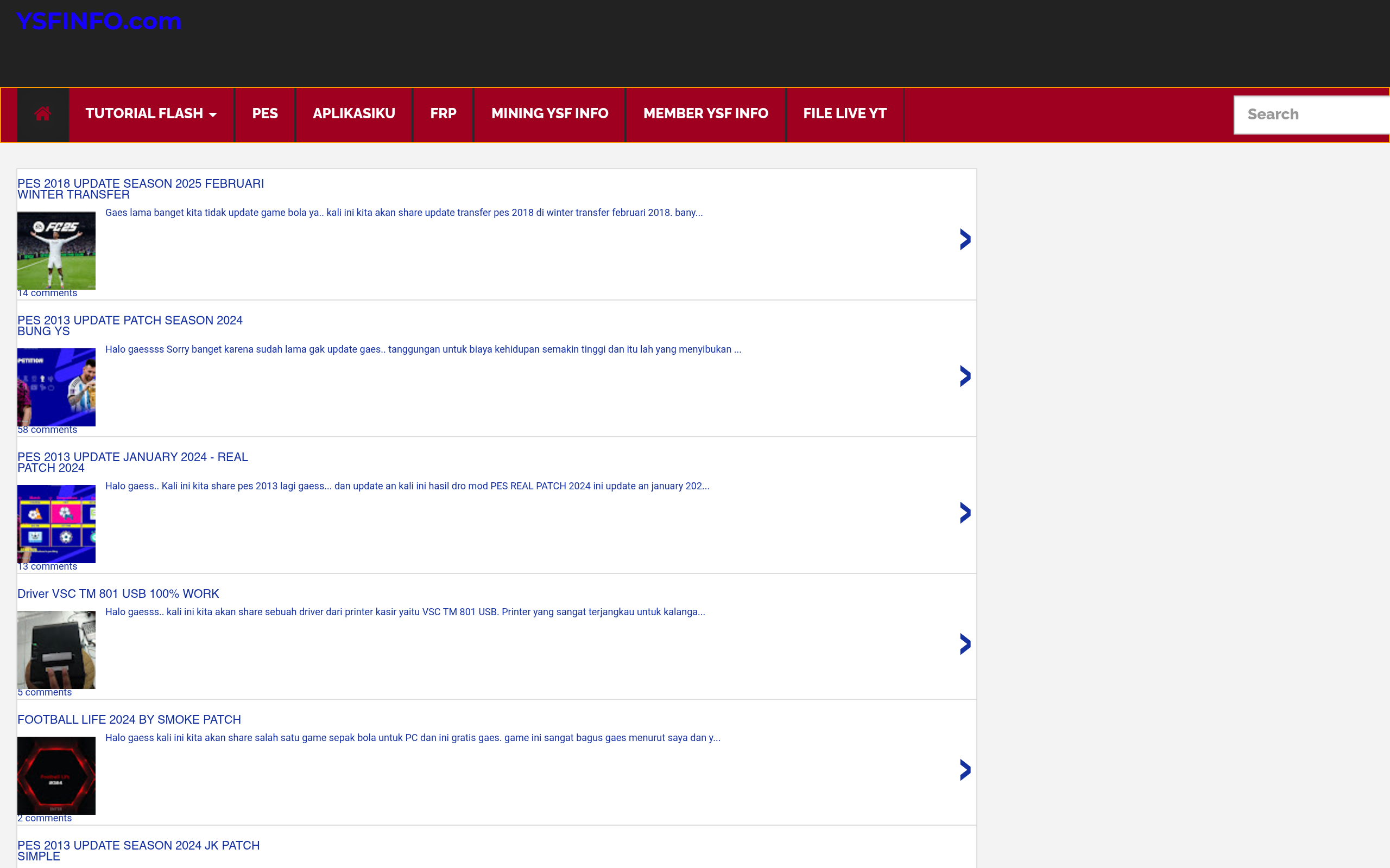Screenshot of ysfinfo.com
