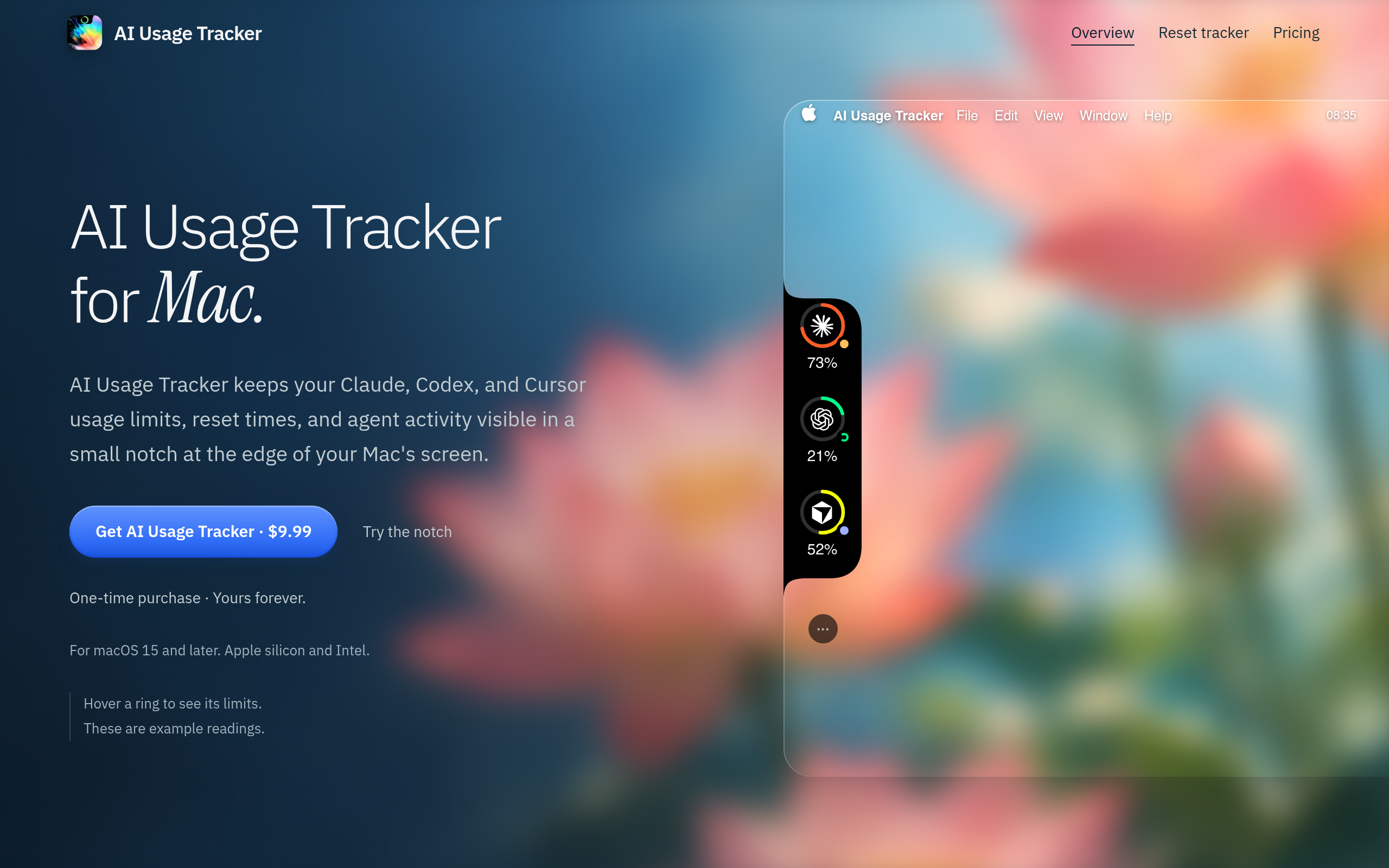 AI Usage Tracker screenshot, image 1