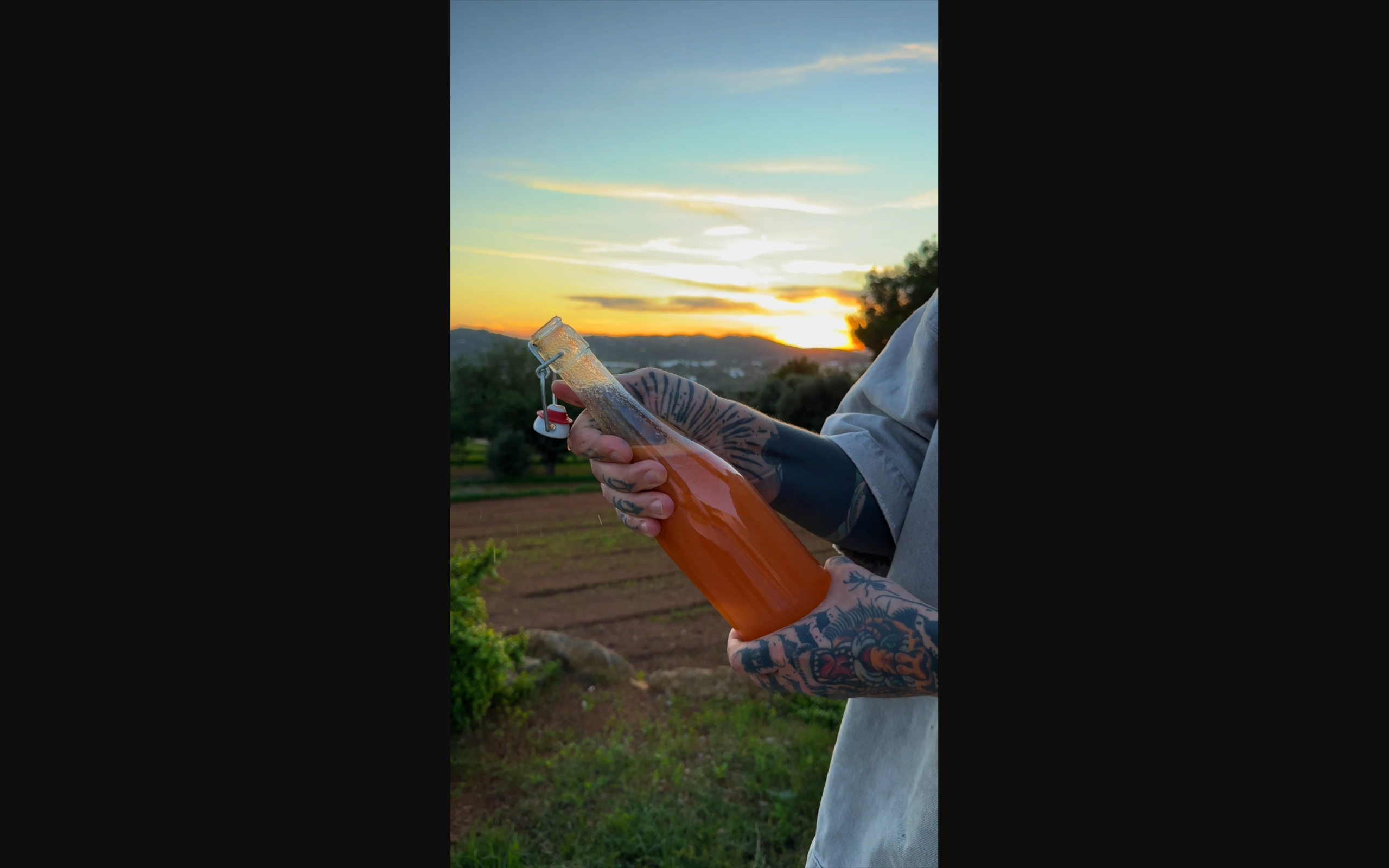 How to Make Homemade Fermented Ginger Soda (Two-Ingredient Recipe)