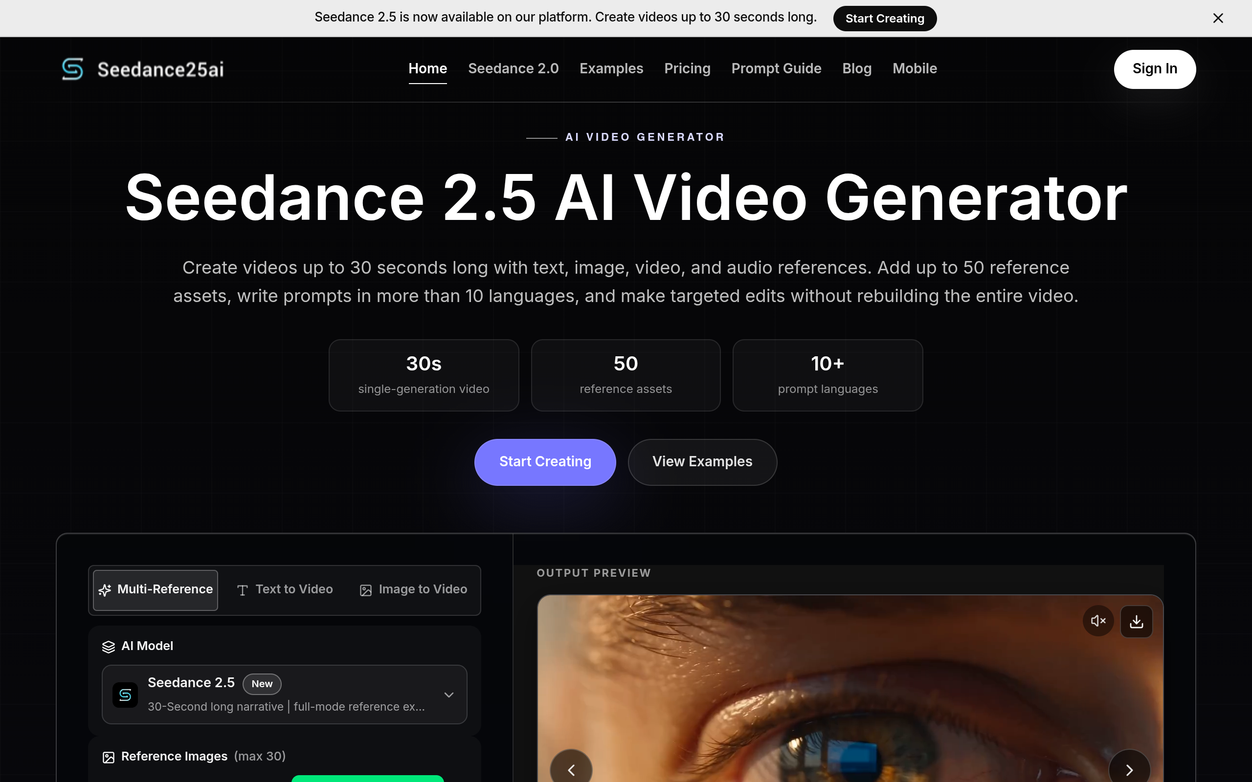 seedance25ai.cc screenshot – image 1