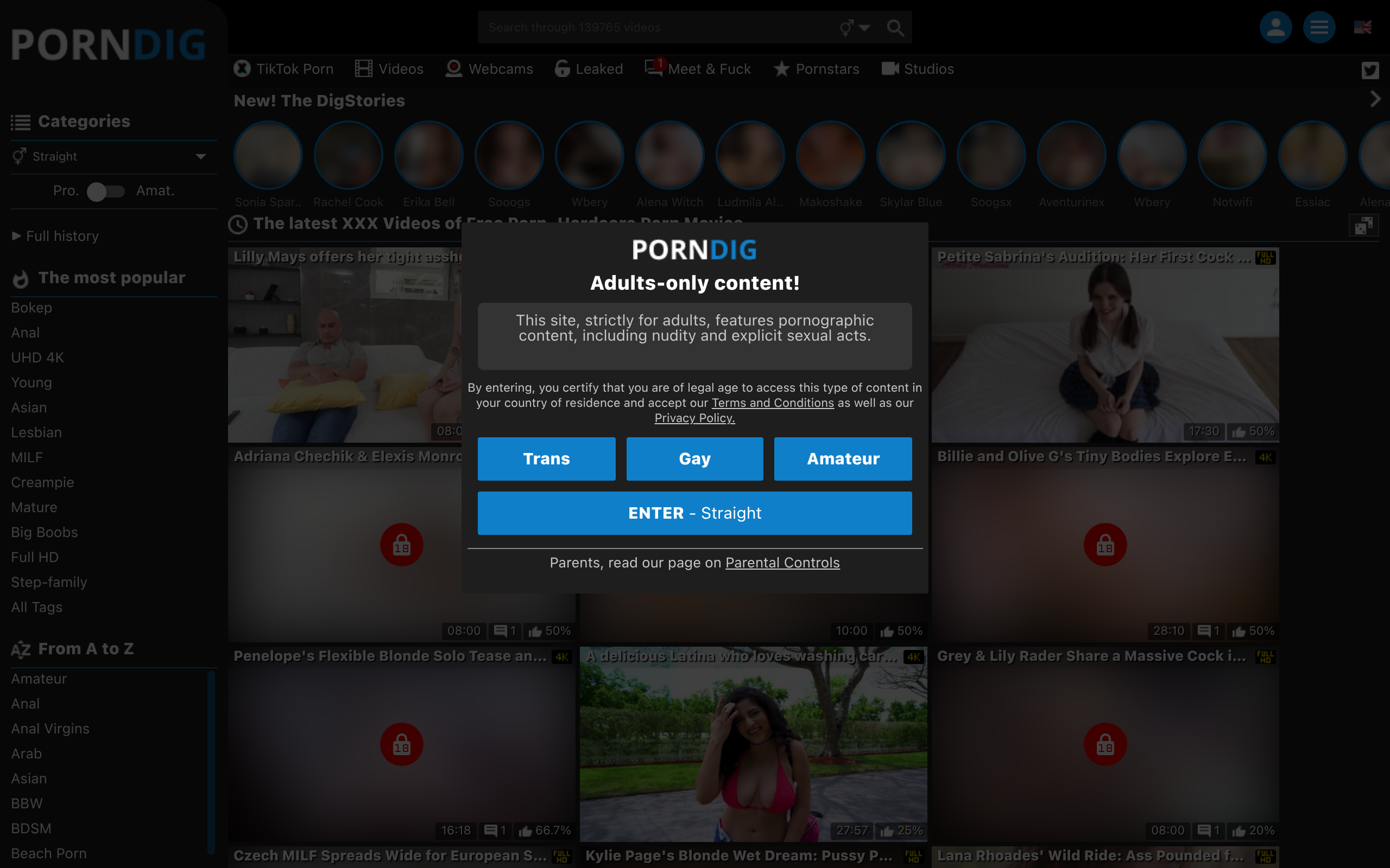 PornDig - Desktop View
