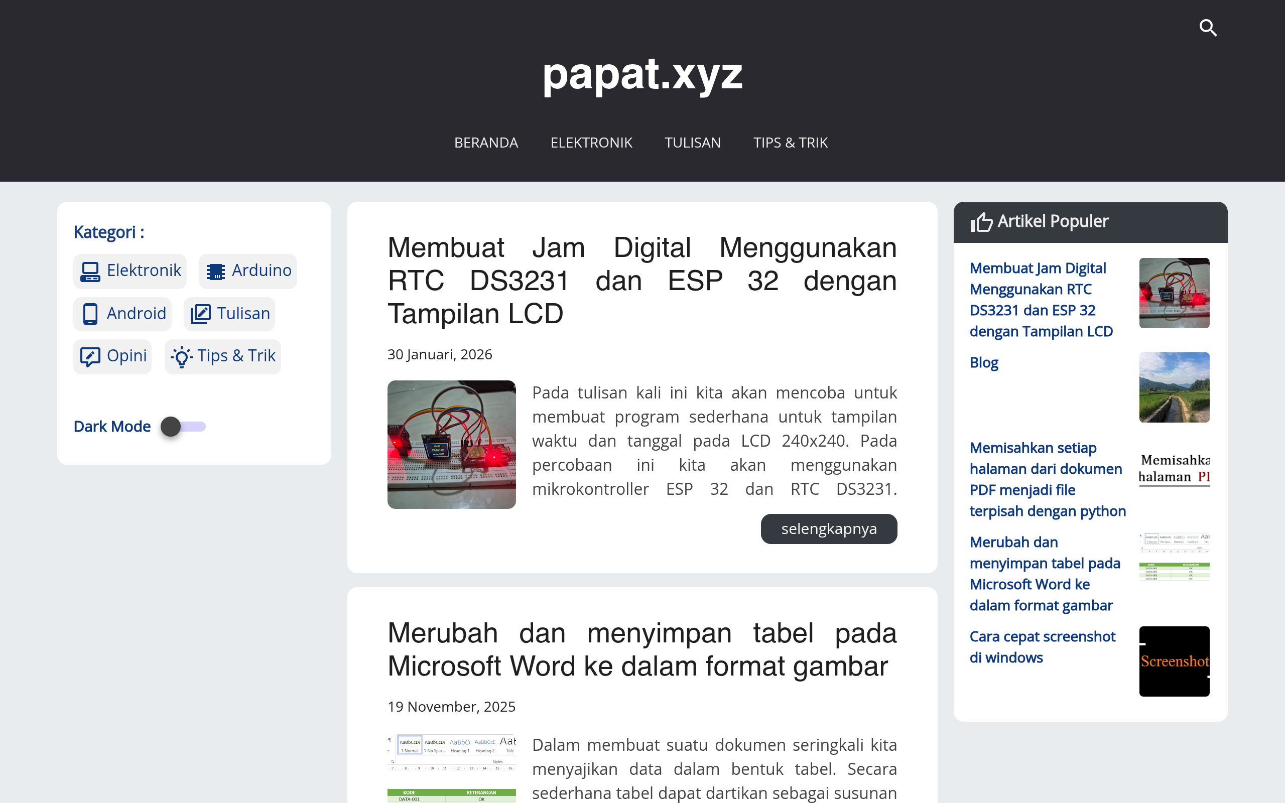 Screenshot of papat.xyz