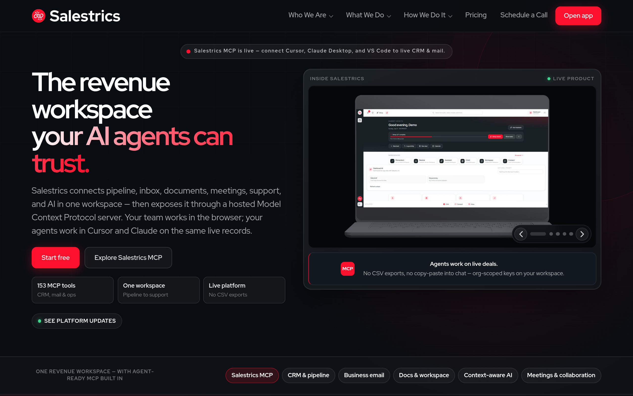 Salestrics MCP screenshot – image 1