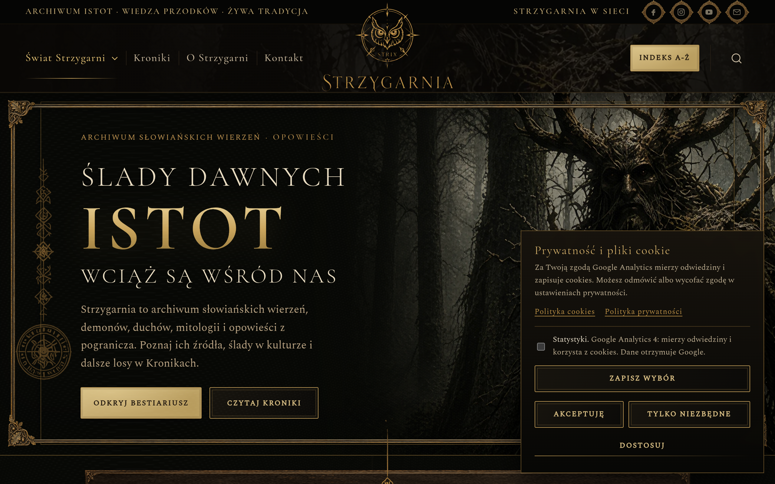 Aktualny widok strony głównej Strzygarnia.pl