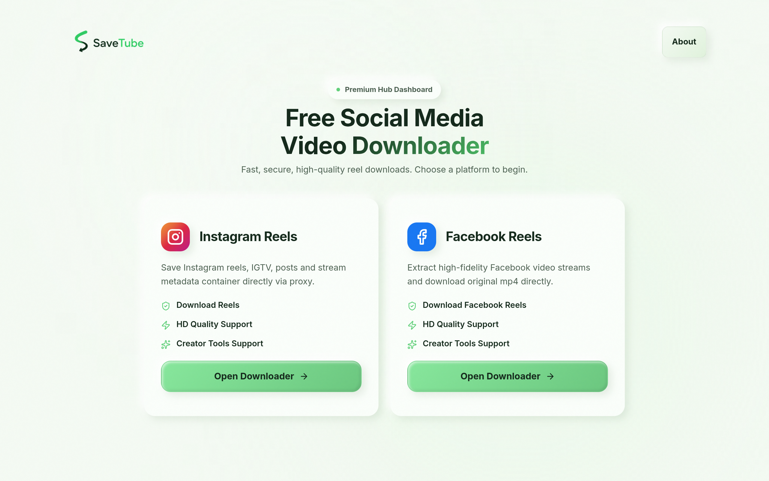 SaveTube screenshot