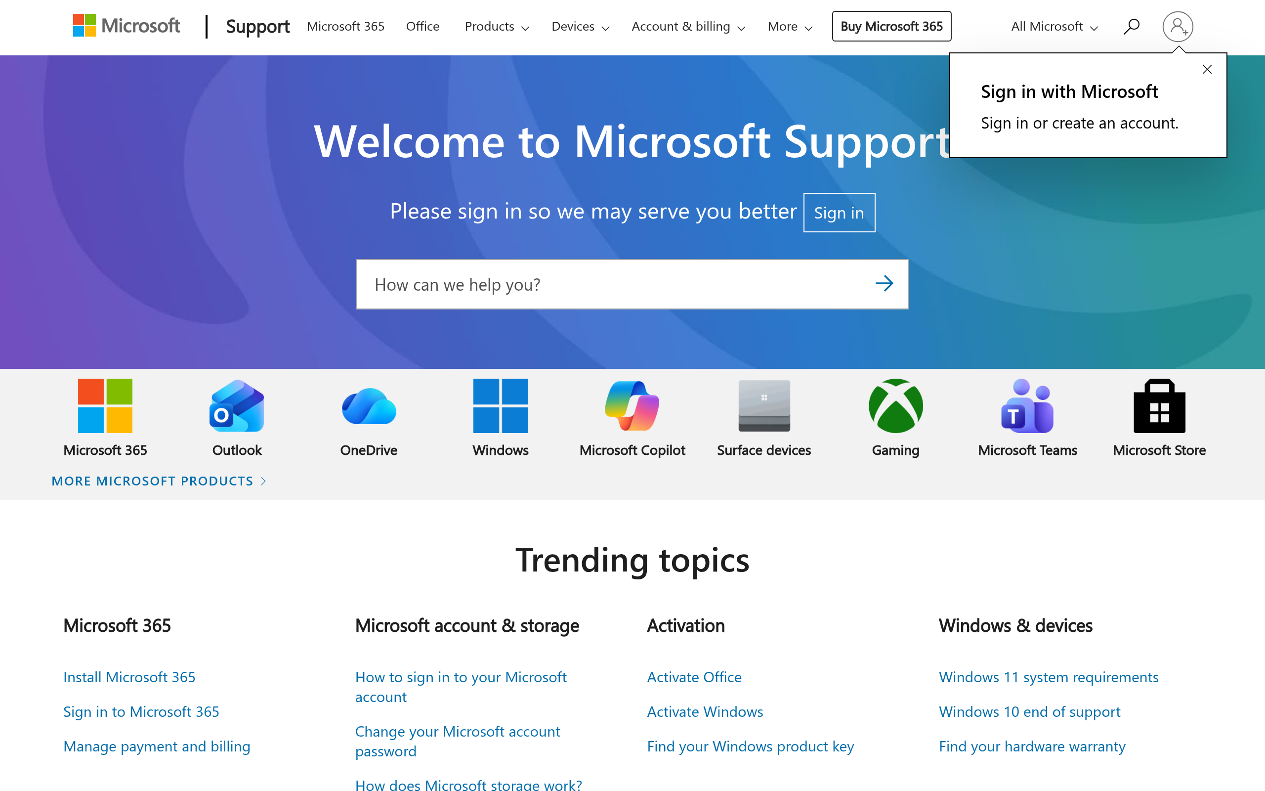 Screenshot of support.microsoft.com