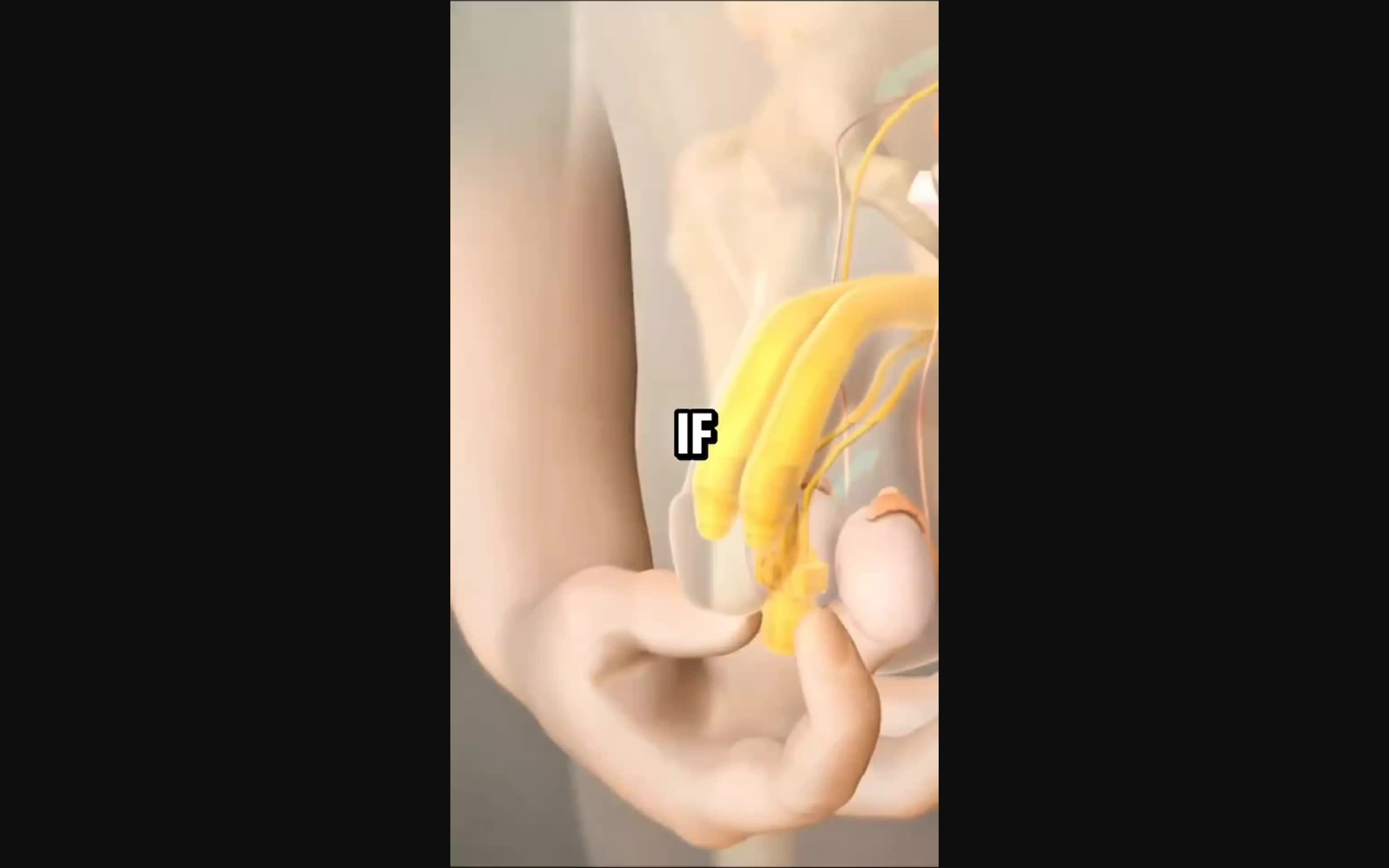 What Happens to Your Body After 7 Days of Lemon Water? A Day-By-Day Guide