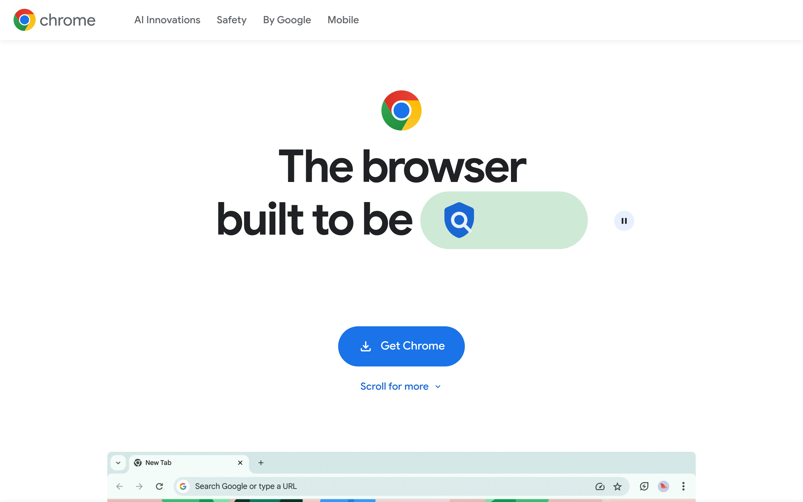 Screenshot of chrome.google.com