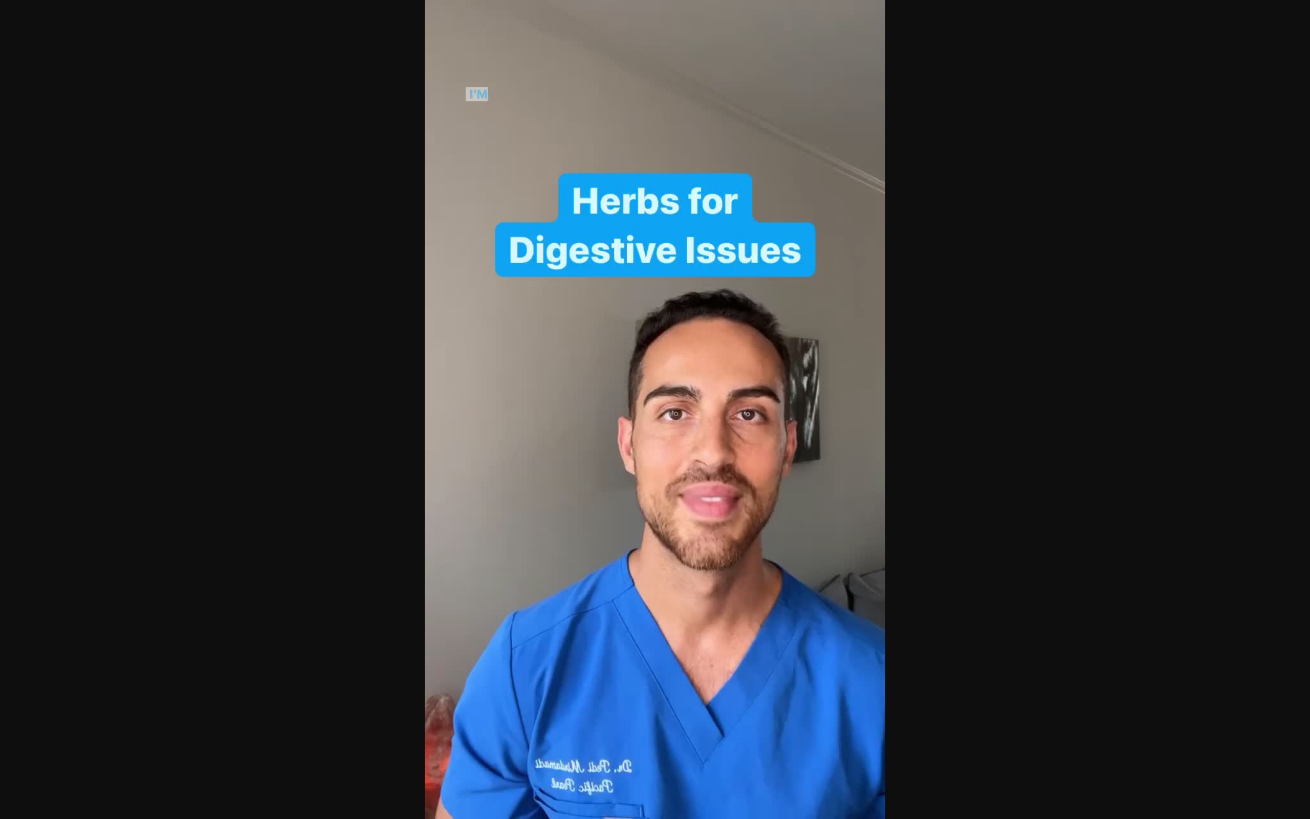Best Herbs for Digestion: Naturopathic Guide to Healing the Gut