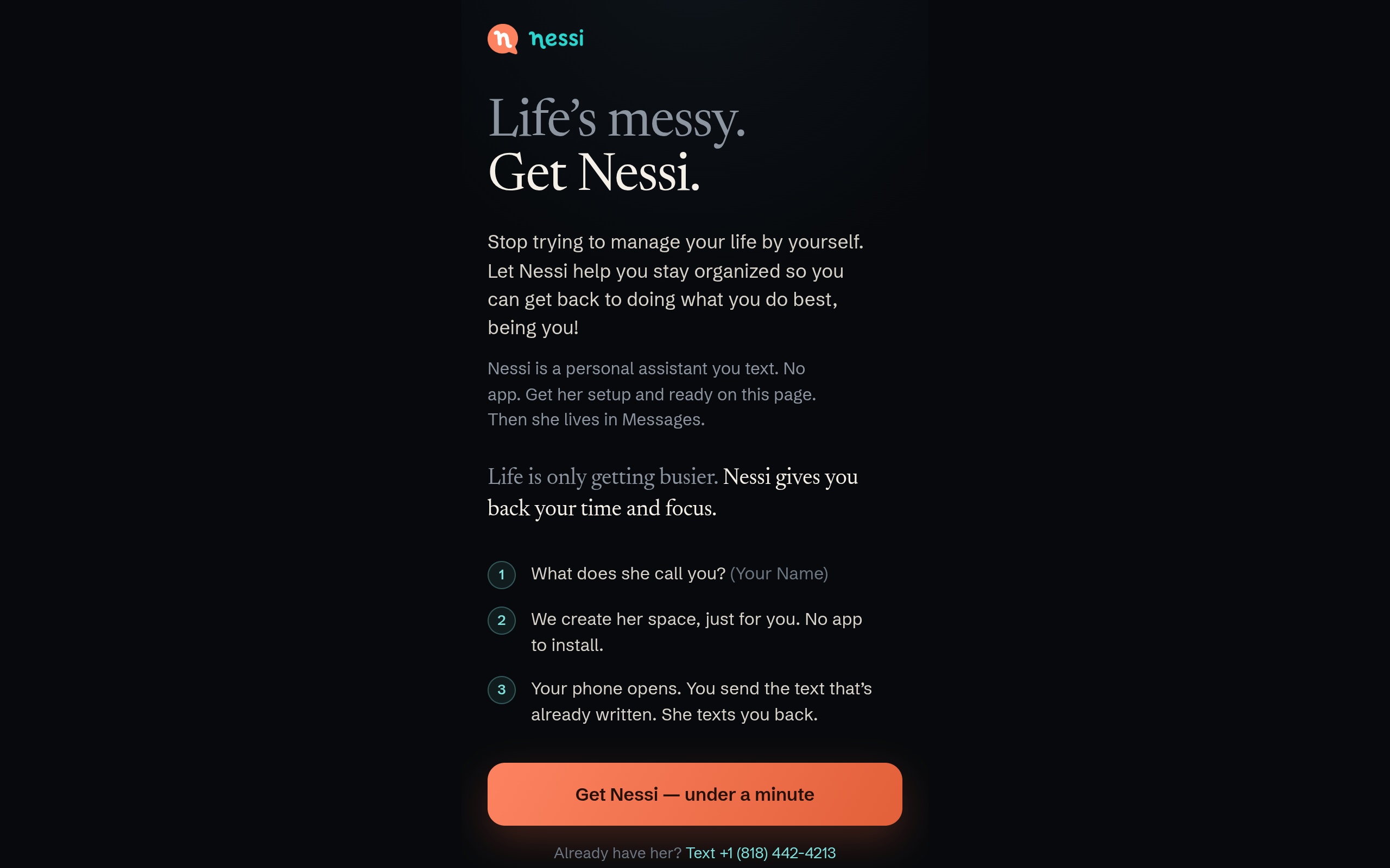 Nessi screenshot