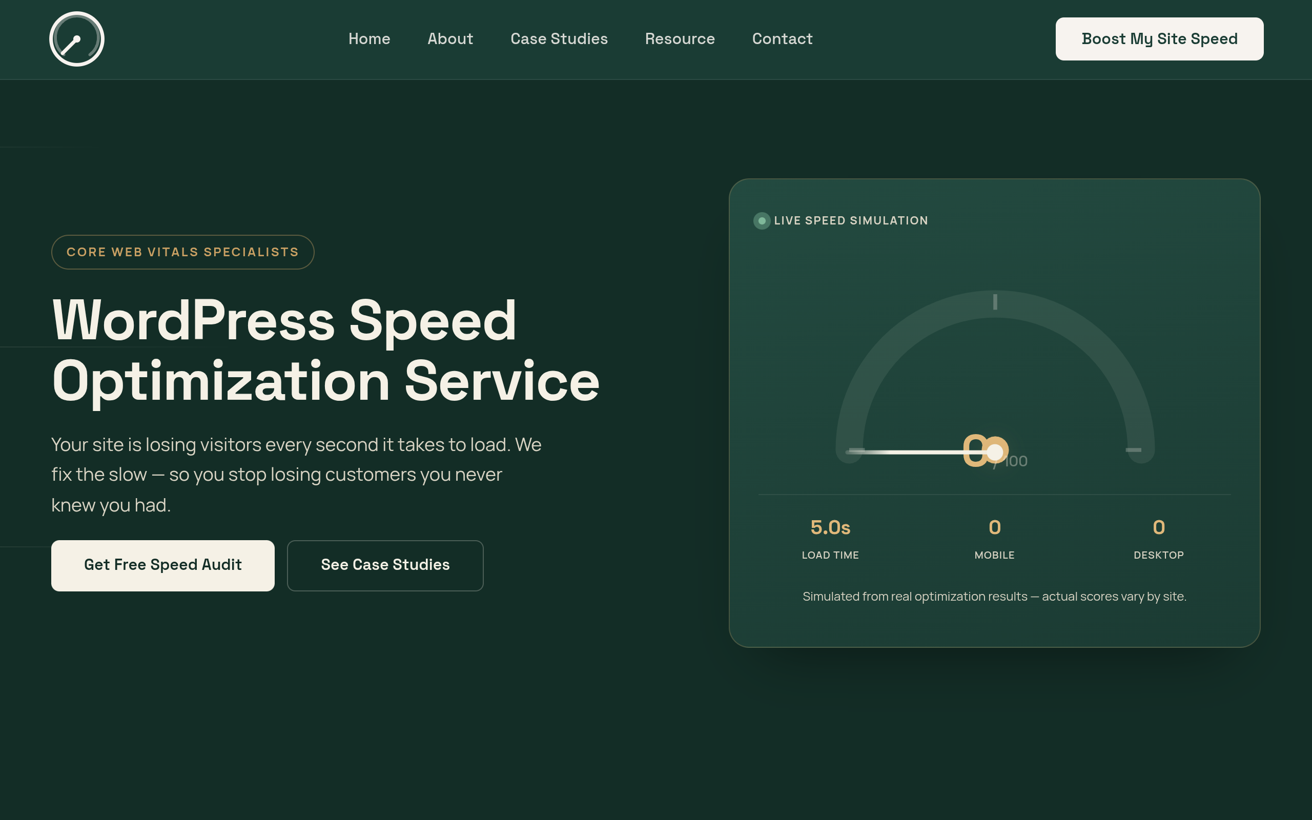 wordpressspeedoptimizationservice.com screenshot, image 1
