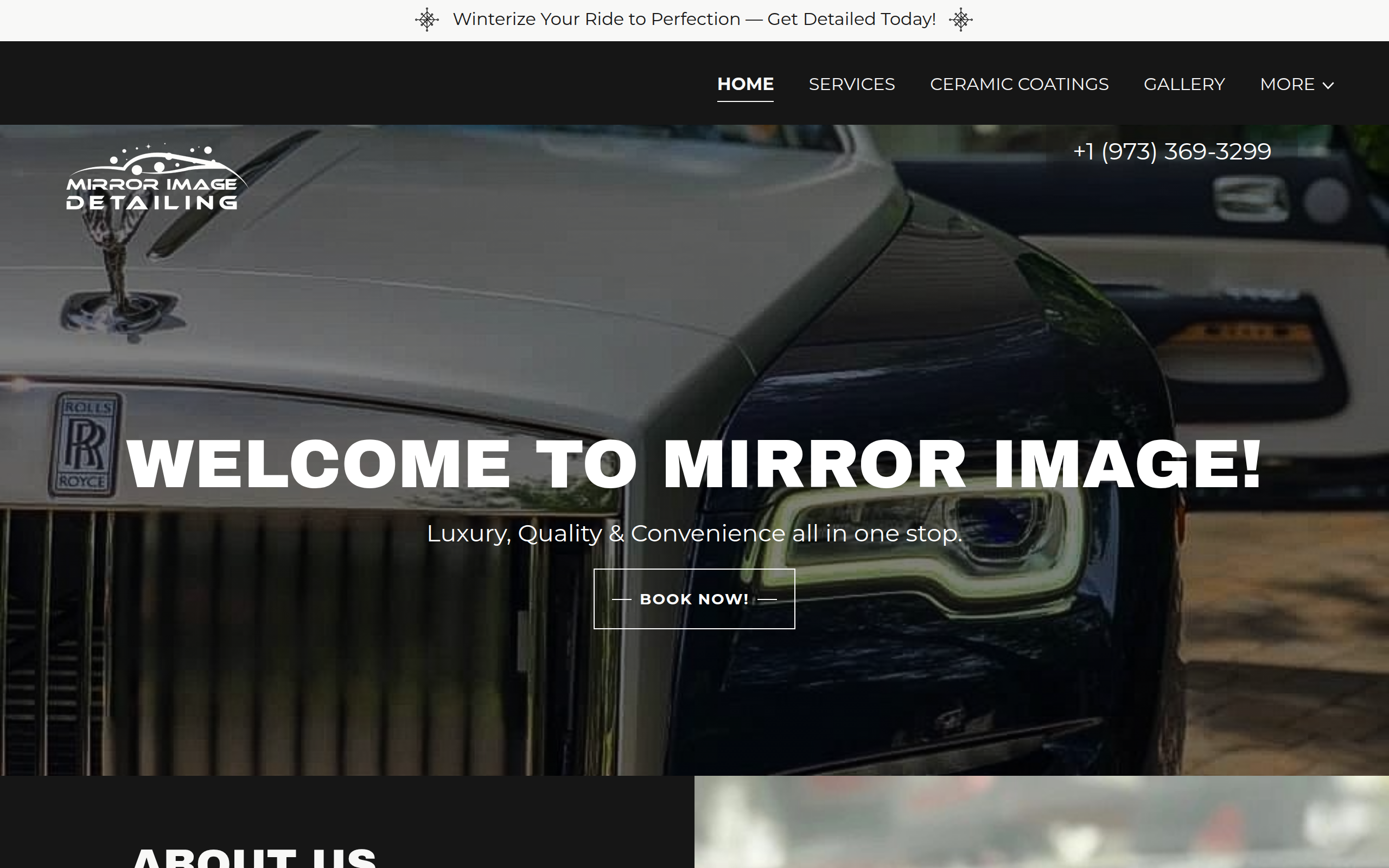 Mirror Image Detailing Screenshot