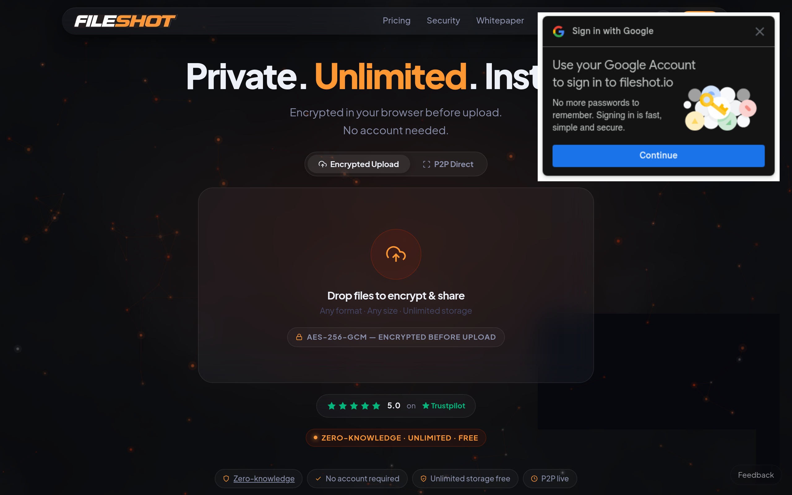 Screenshot of FileShot website