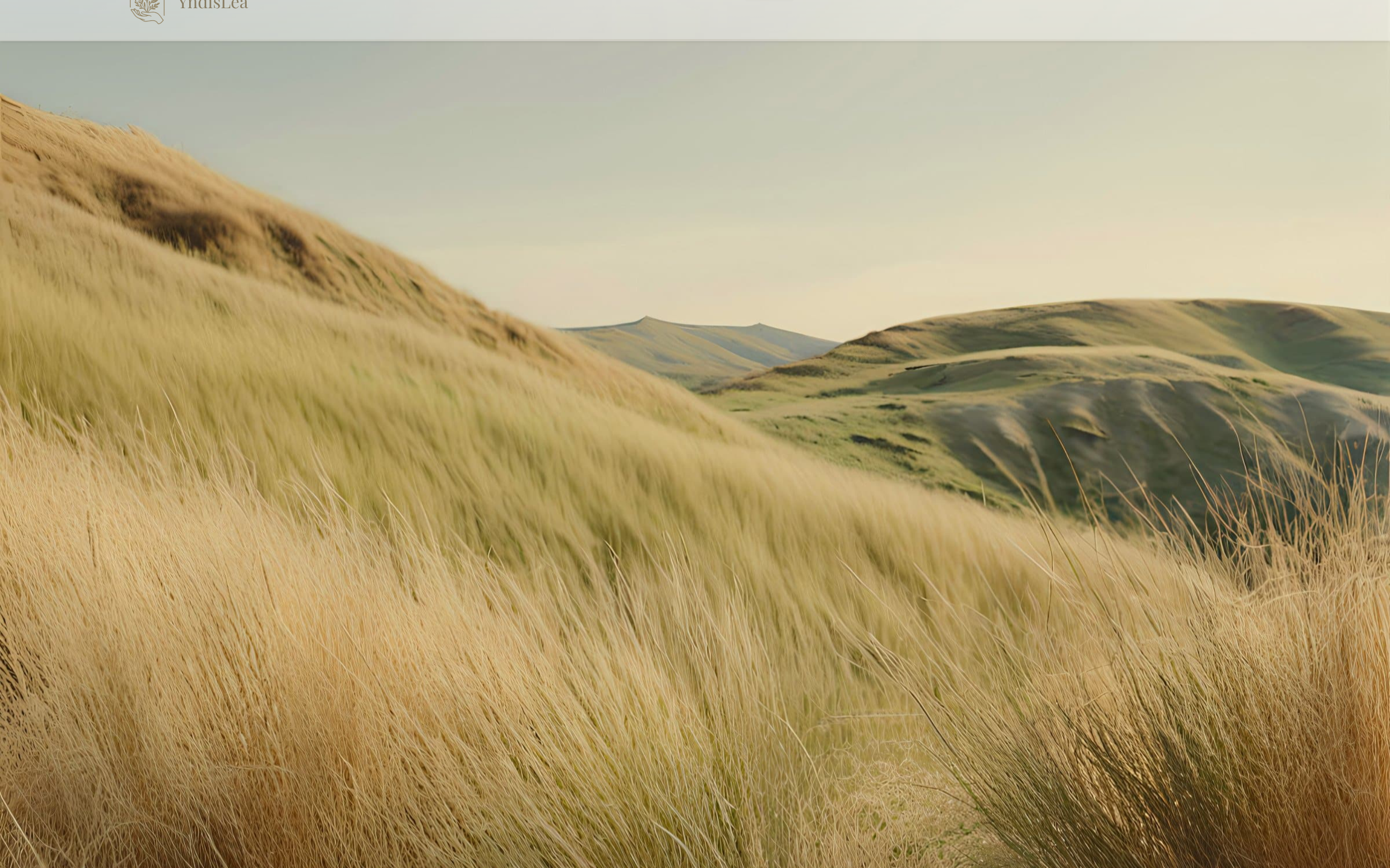 Yndislea website