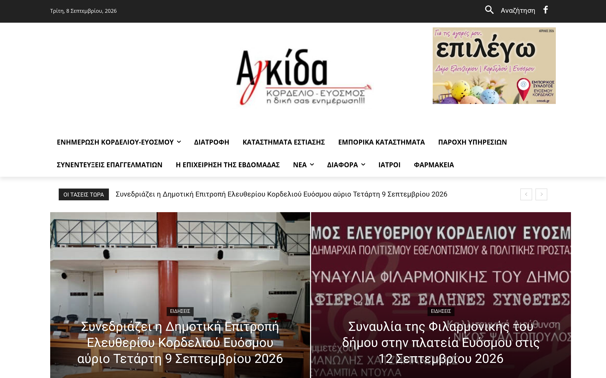 Screenshot of agkidapress.gr