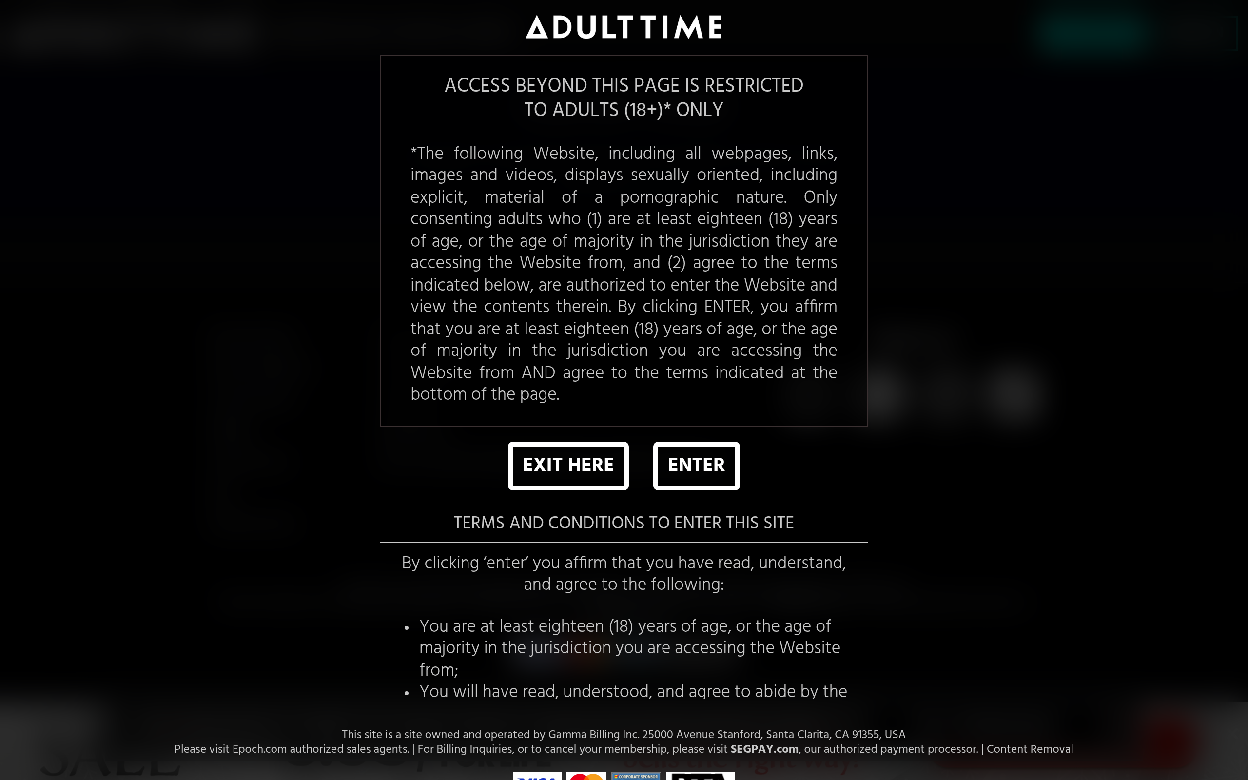 AdultTime Premium Plus - Desktop View