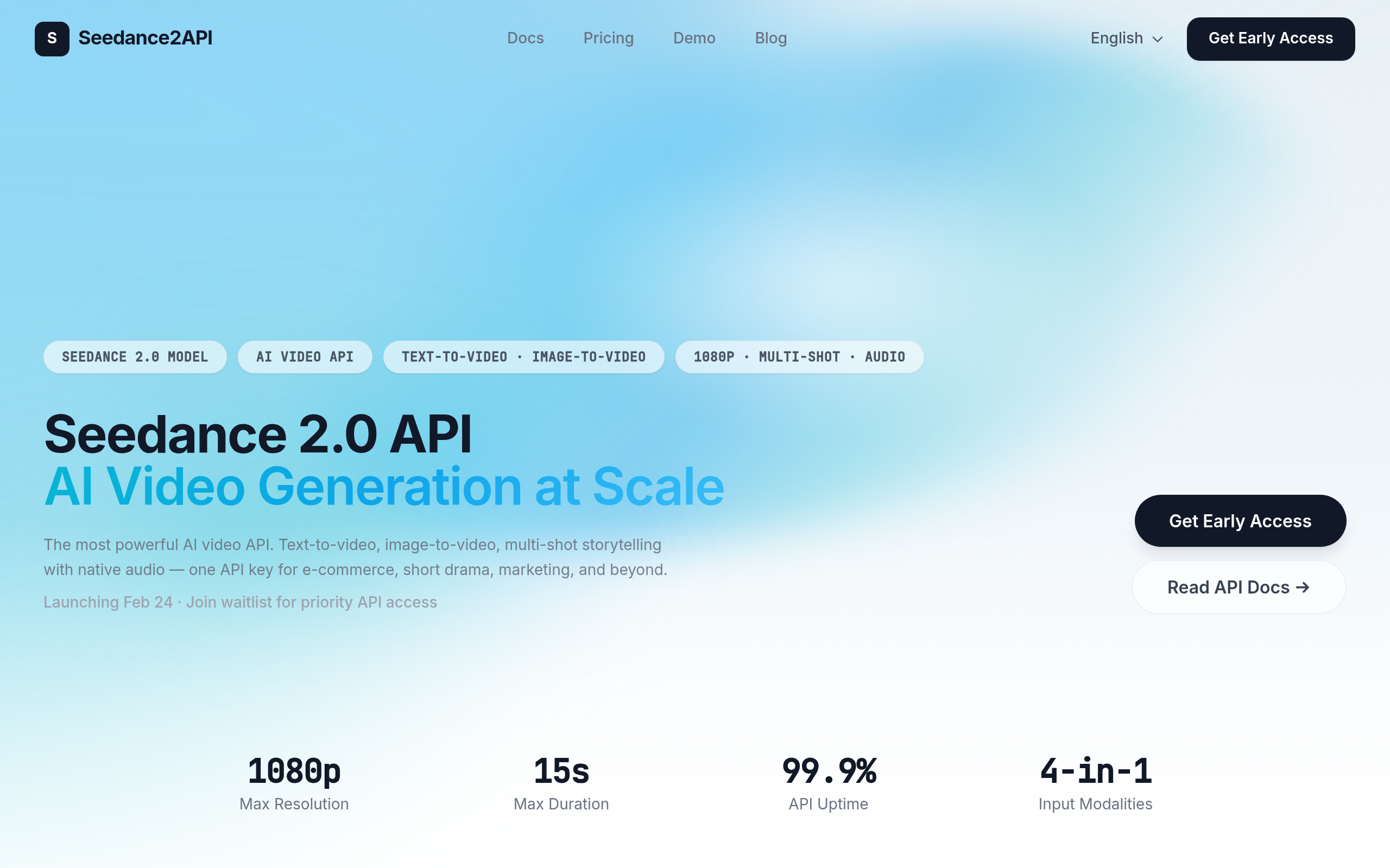 Seedance 2.0 API screenshot