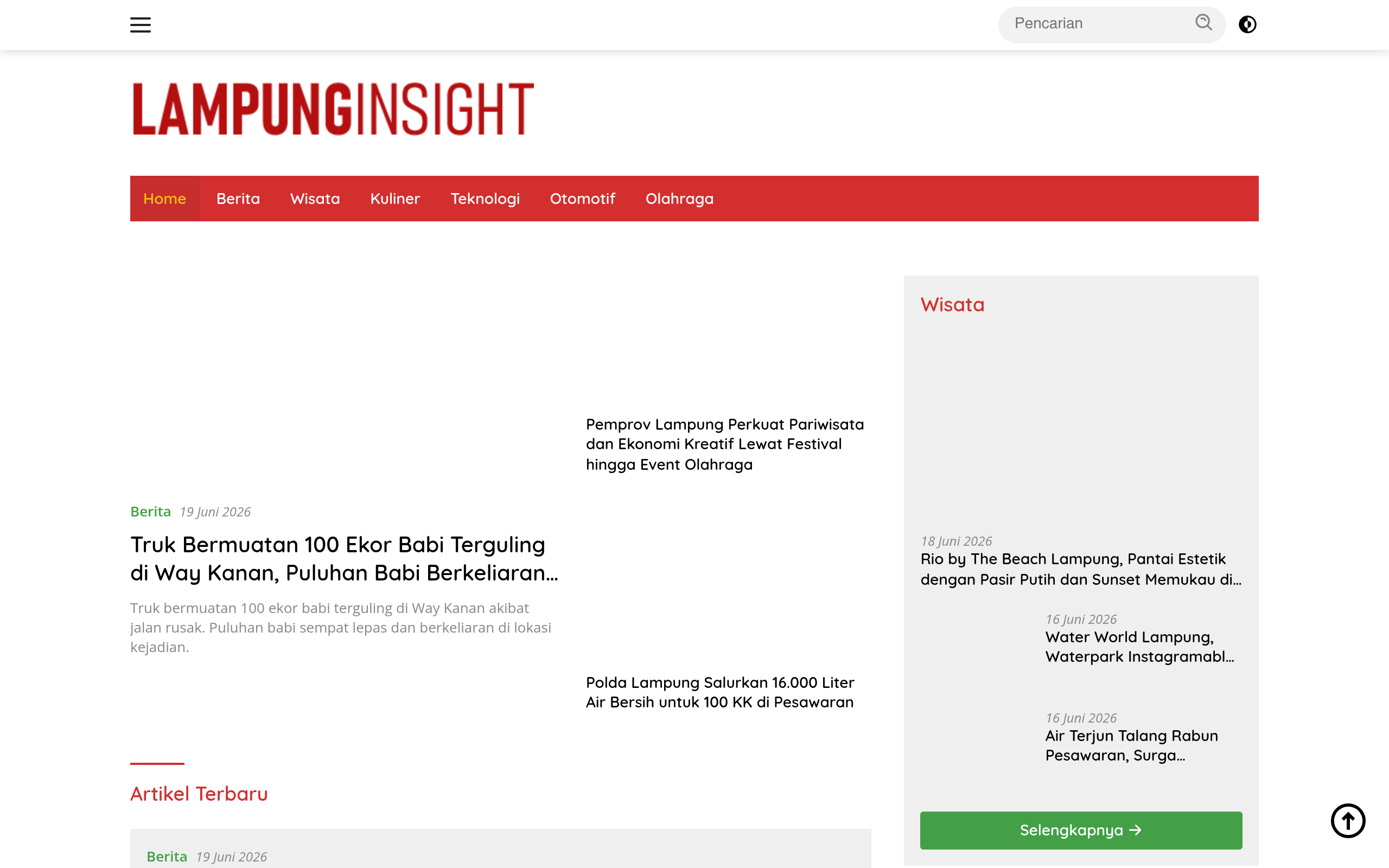 Screenshot of lampunginsight.net