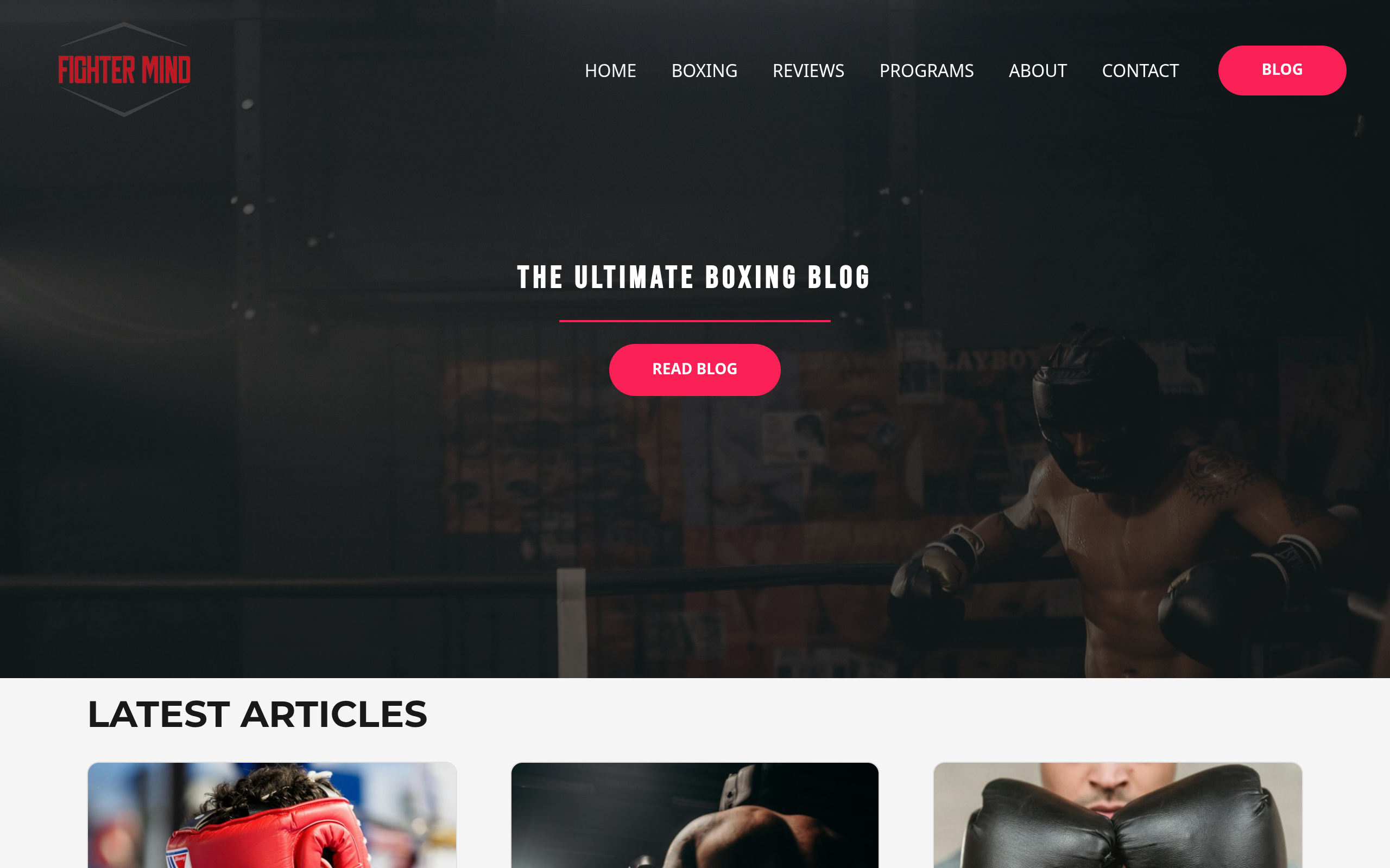 Screenshot of fighter-mind.com