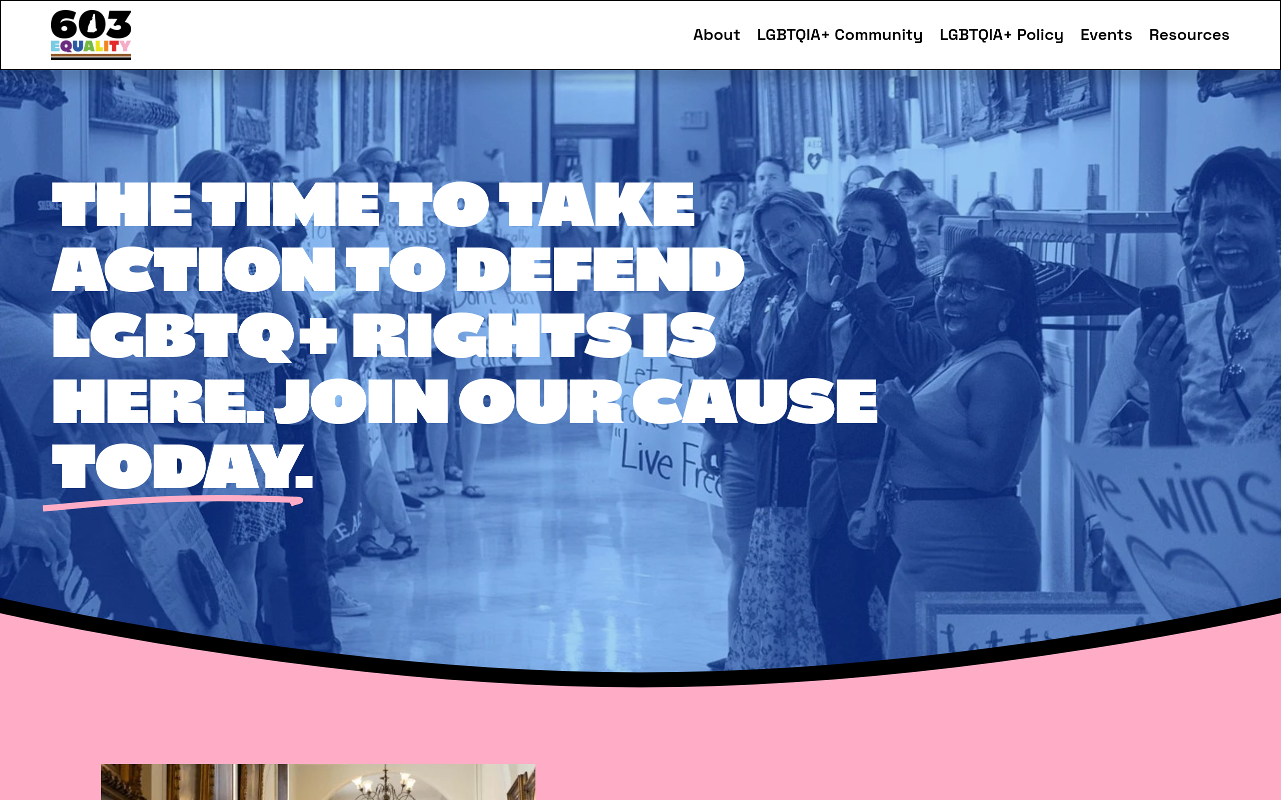 Screenshot of 603equality.net